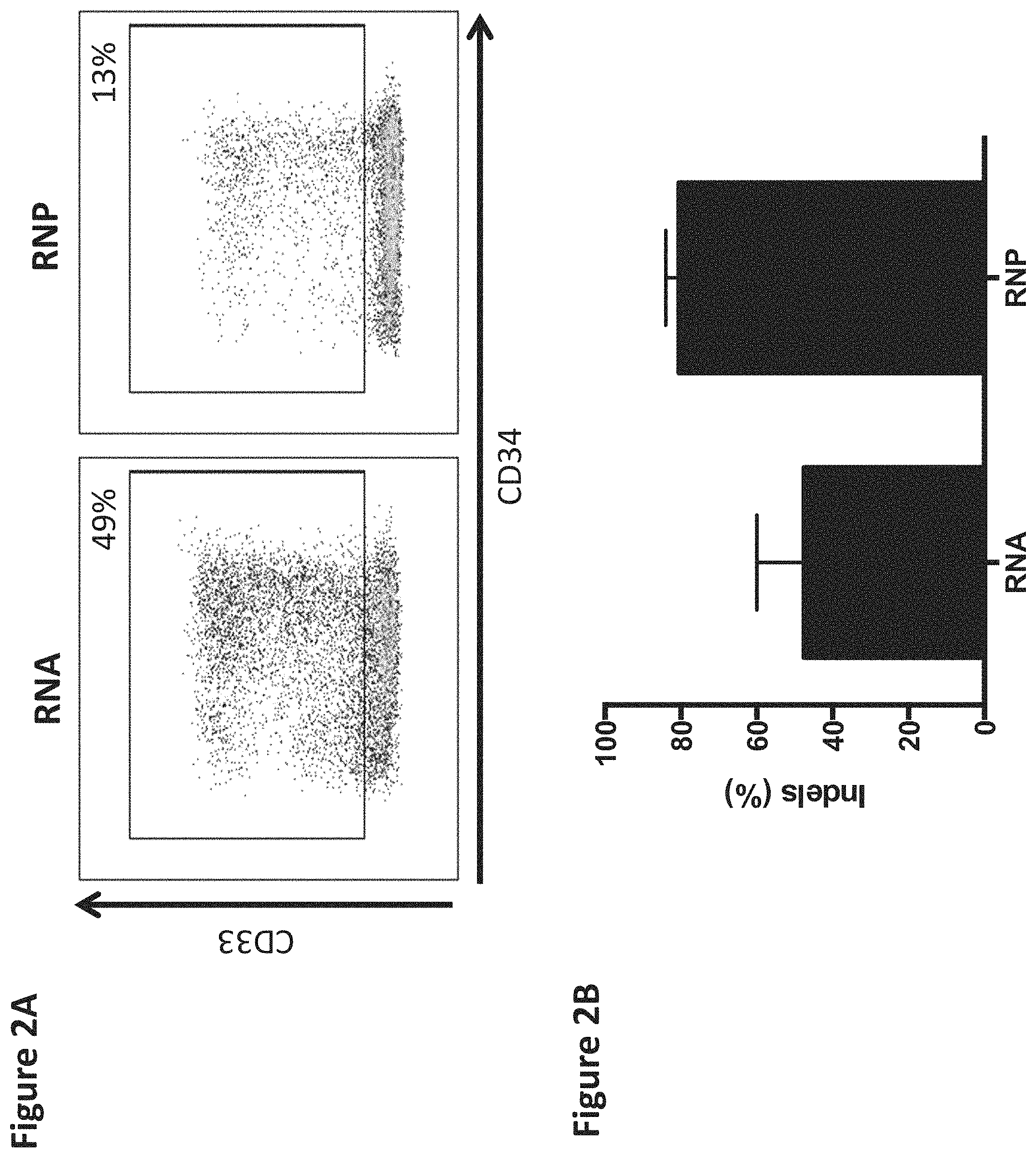 Patent US11771719 Figure 2 – Methods and compositions for gene editing in hematopoietic stem cells
