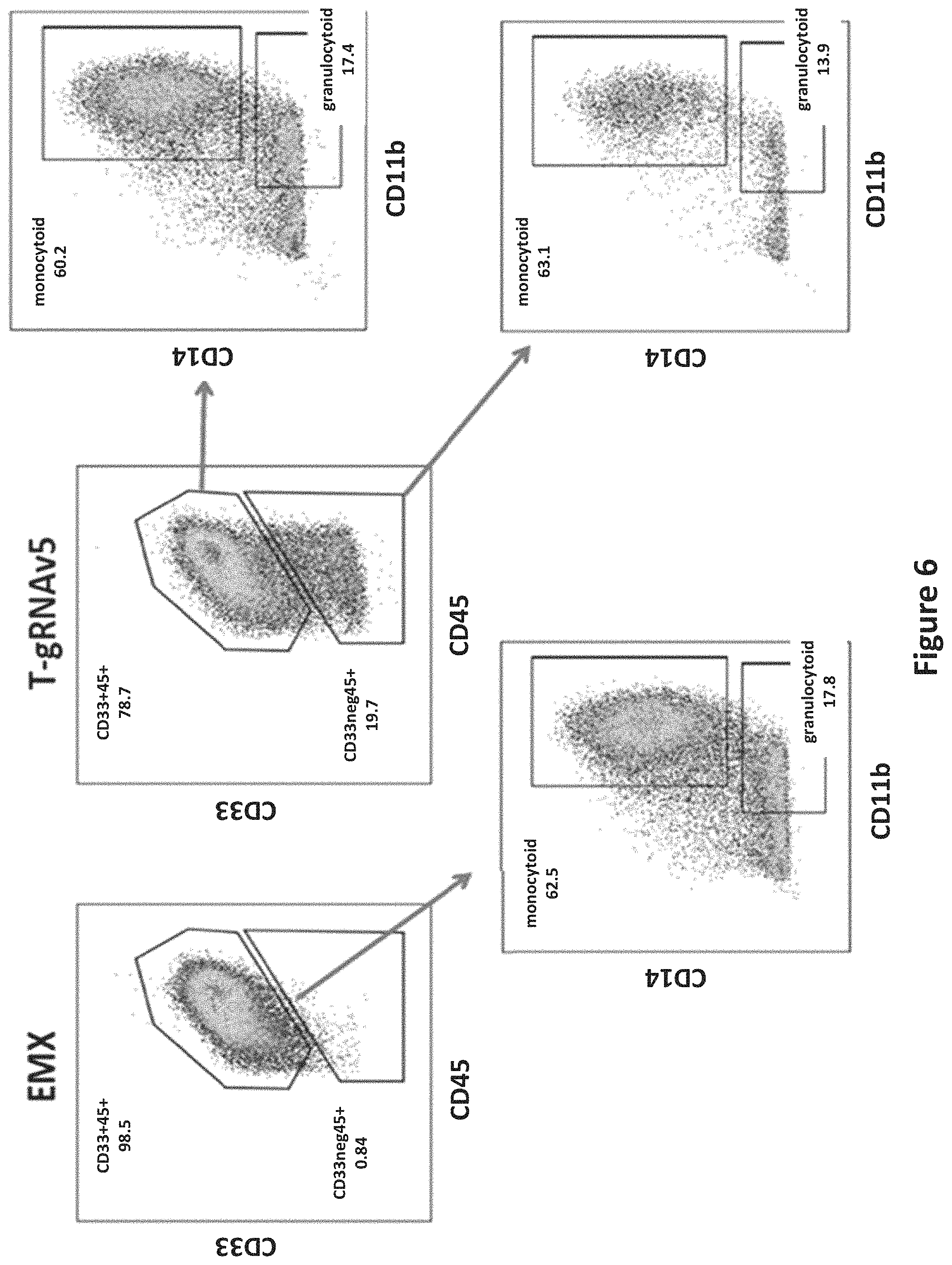 Patent US11771719 Figure 8 – Methods and compositions for gene editing in hematopoietic stem cells