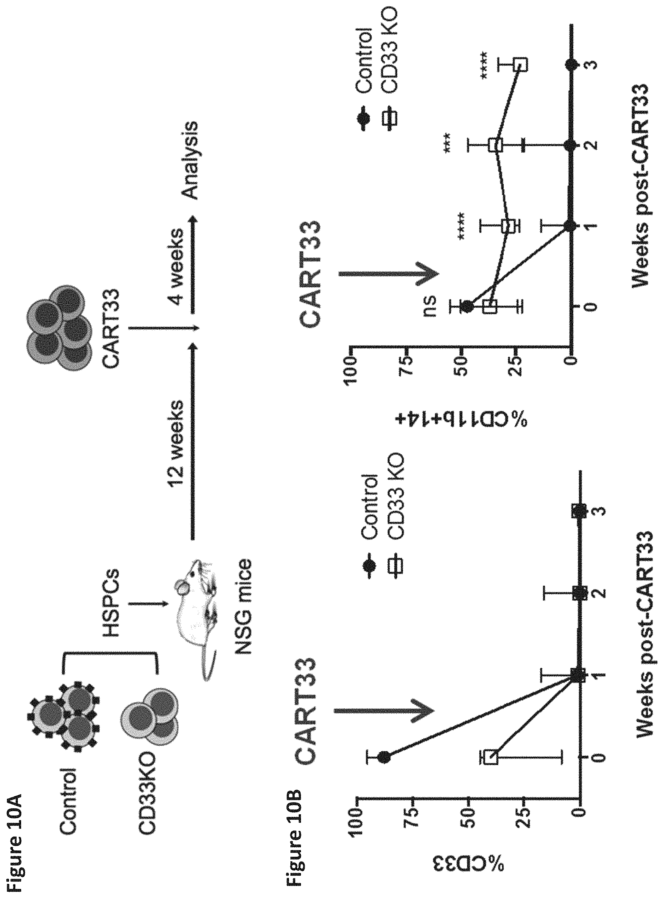 Patent US11771719 Figure 20 – Methods and compositions for gene editing in hematopoietic stem cells