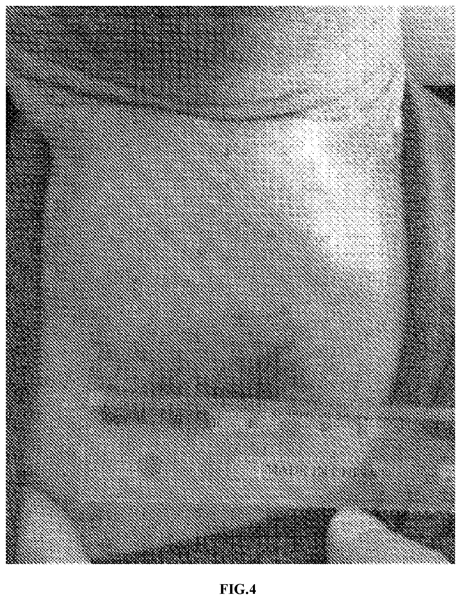 Patent US11771721 Figure 4 – Applications of genetically engineered bacteria VNP20009-M in preparation of drugs for preventing and treating lung cancer