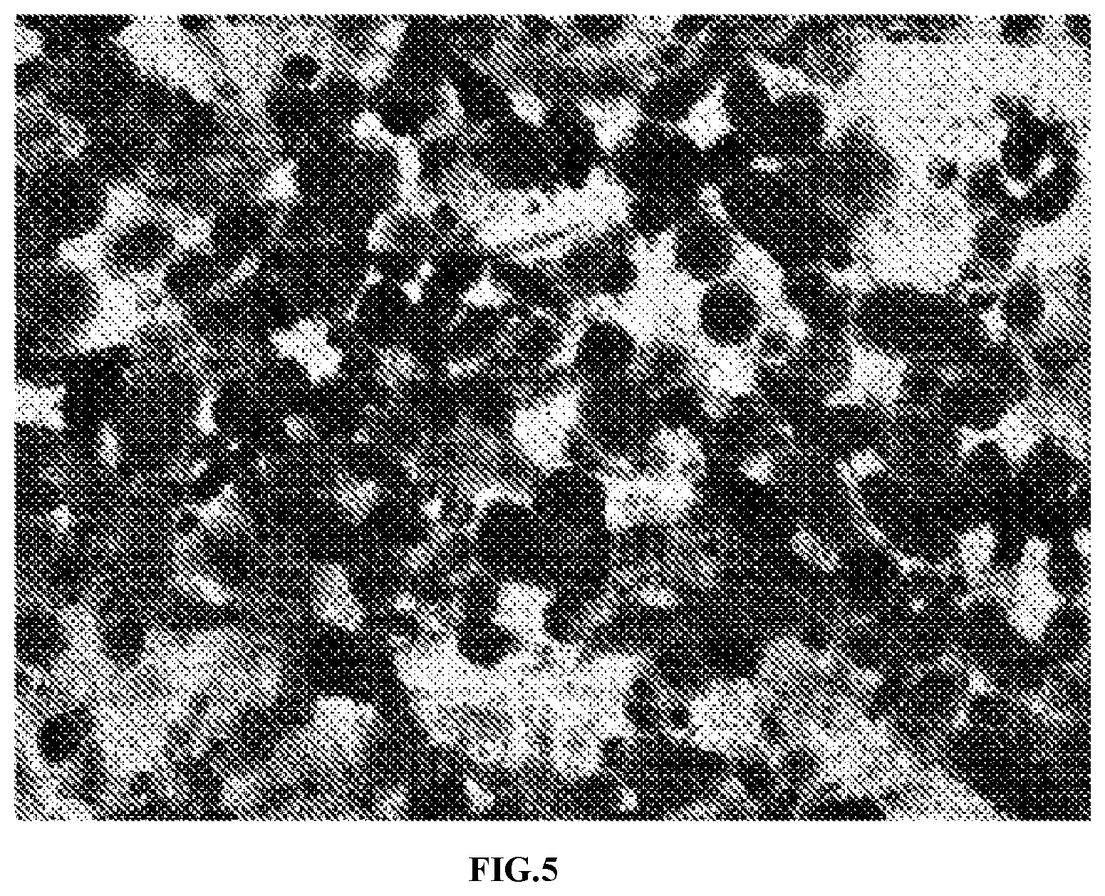 Patent US11771721 Figure 5 – Applications of genetically engineered bacteria VNP20009-M in preparation of drugs for preventing and treating lung cancer