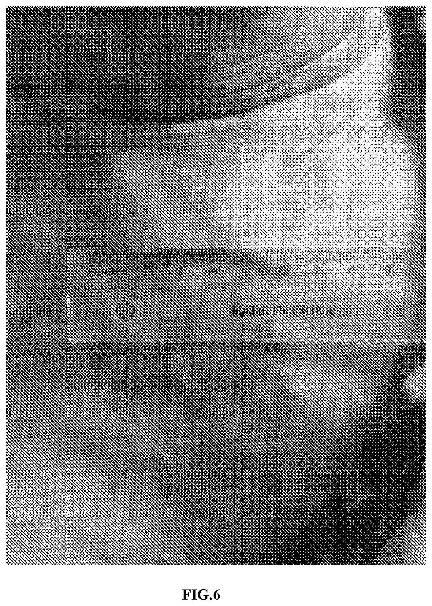 Patent US11771721 Figure 6 – Applications of genetically engineered bacteria VNP20009-M in preparation of drugs for preventing and treating lung cancer