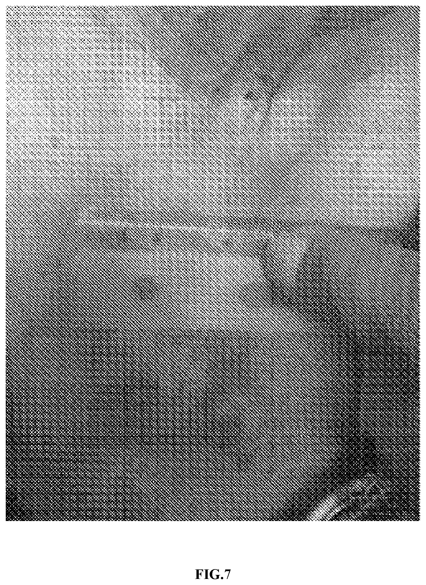 Patent US11771721 Figure 7 – Applications of genetically engineered bacteria VNP20009-M in preparation of drugs for preventing and treating lung cancer