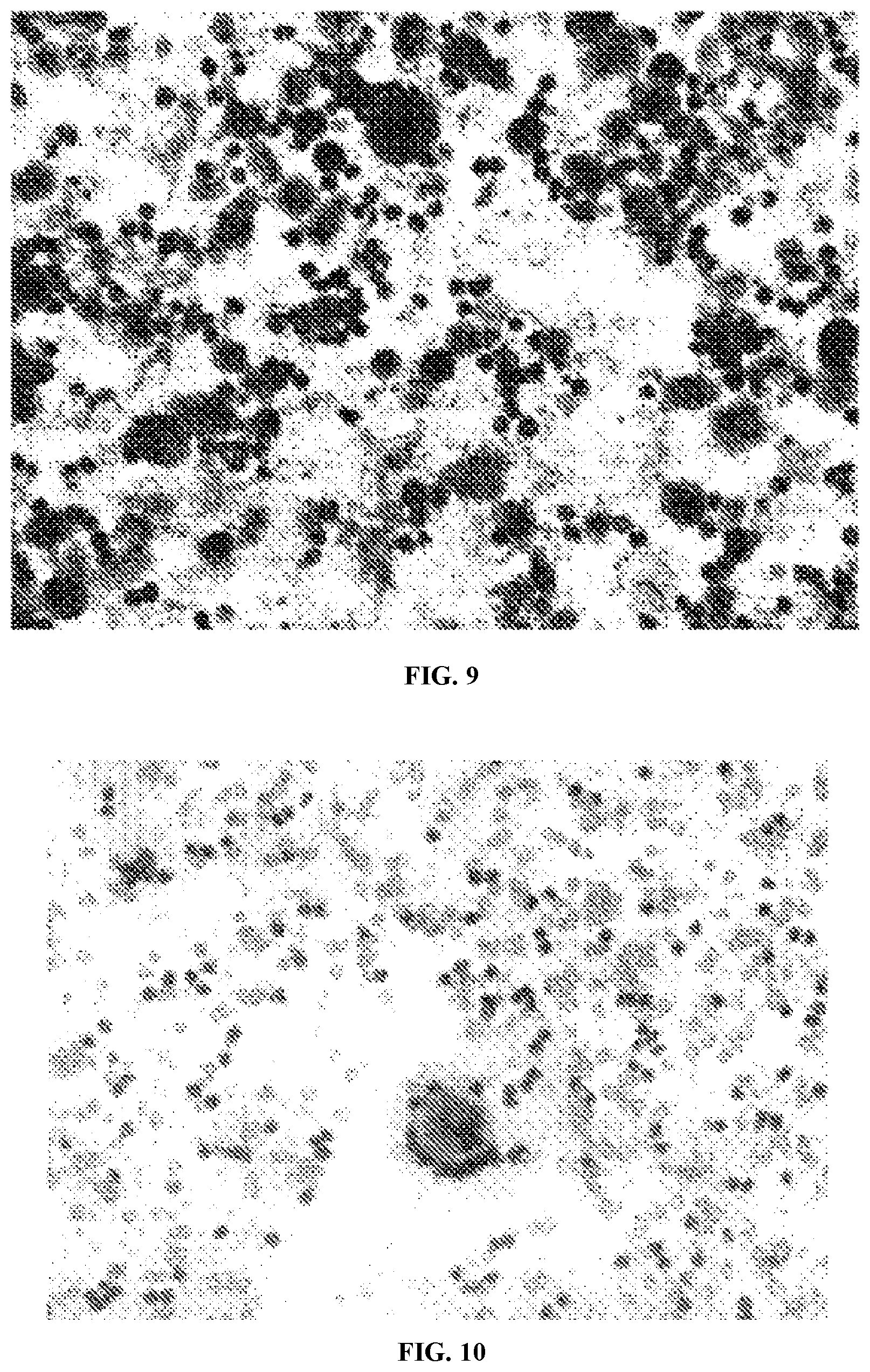 Patent US11771721 Figure 9 – Applications of genetically engineered bacteria VNP20009-M in preparation of drugs for preventing and treating lung cancer
