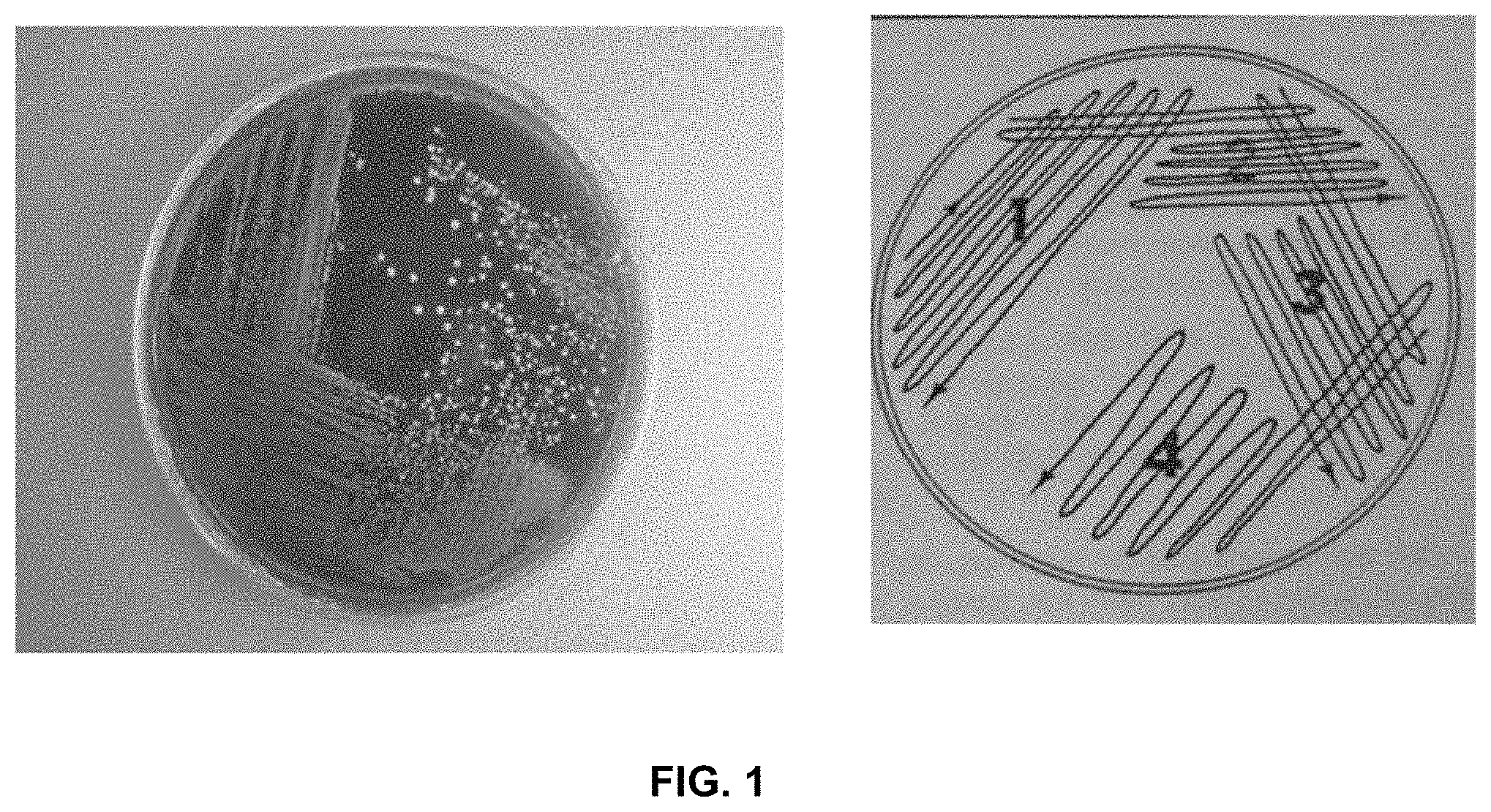Patent US11771722 Figure 1 – Methods for inhibiting tumor growth using anaerobe microorganisms