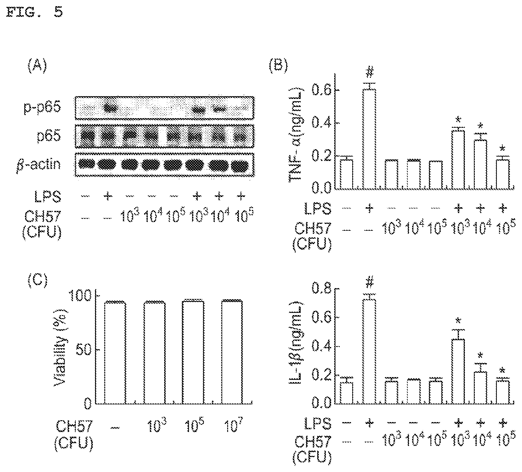 Patent US11771725 Figure 3 – Lactobacillus having various functions, and use thereof