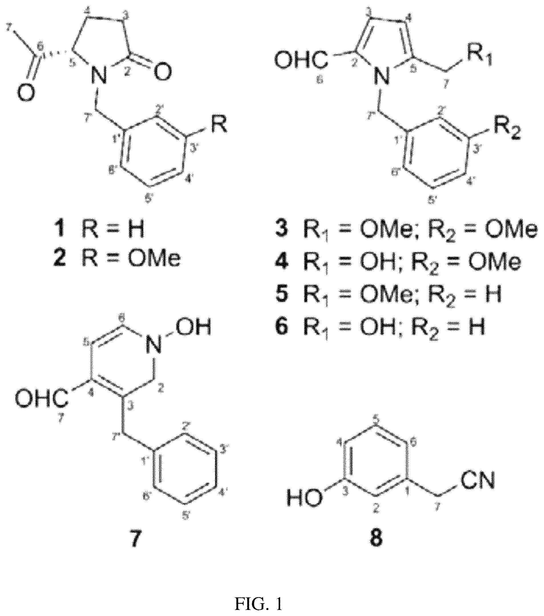 Patent US11771729 — Maca extract and use thereof — Figure 1
