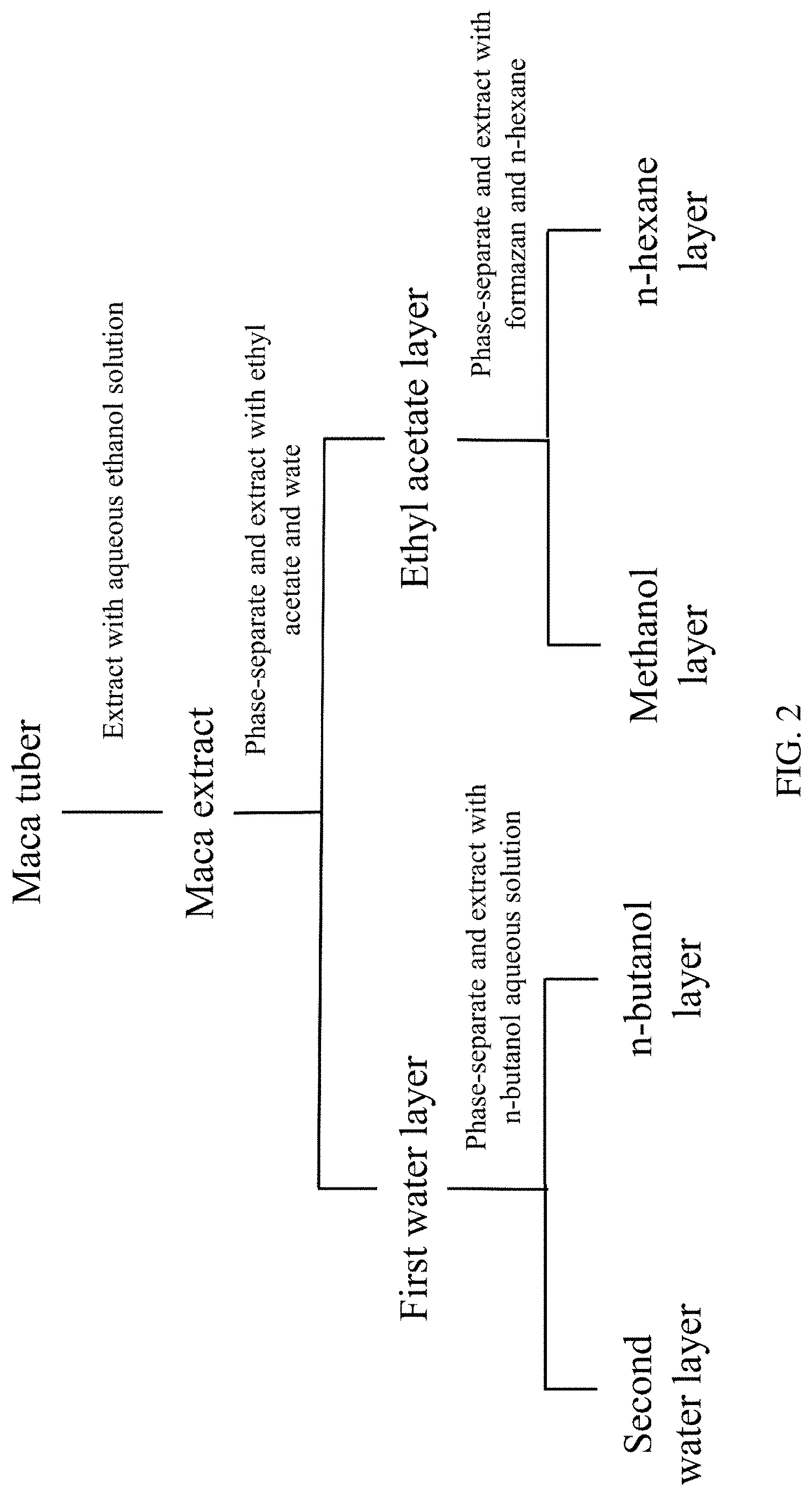 Patent US11771729 Figure 2 – Maca extract and use thereof