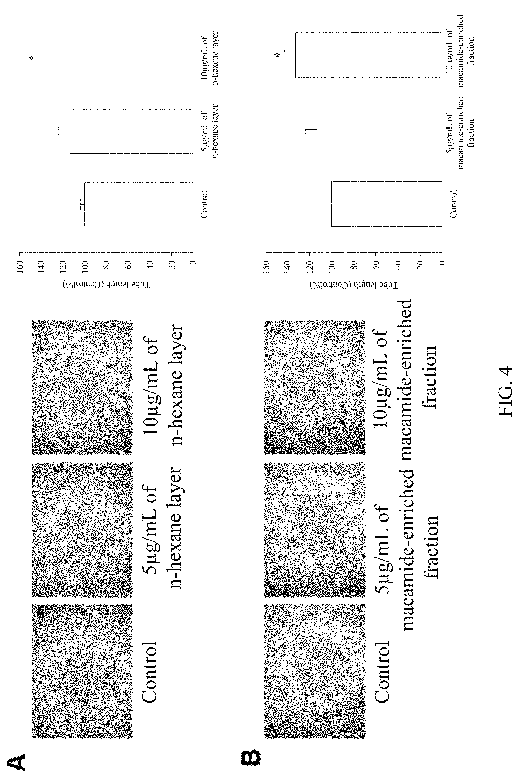 Patent US11771729 Figure 4 – Maca extract and use thereof