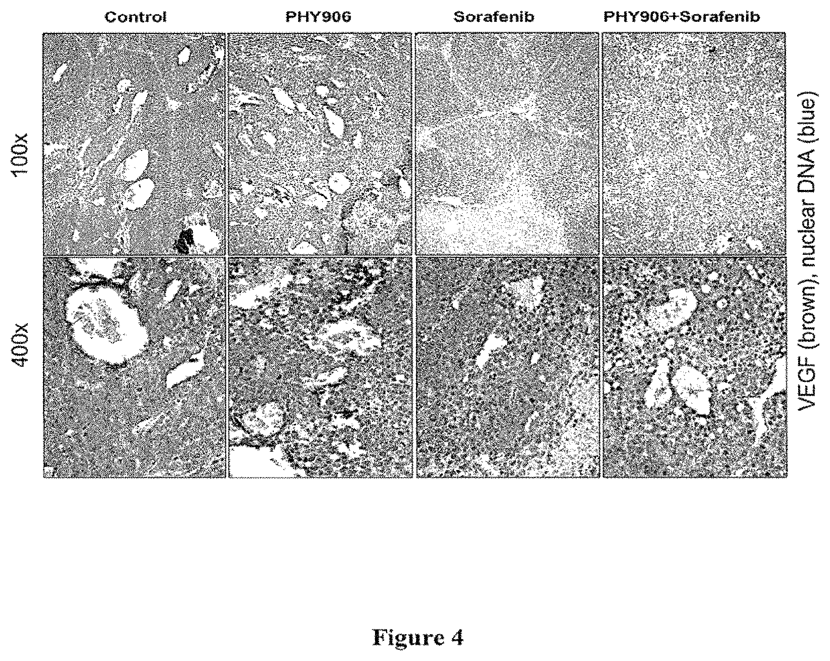Patent US11771731 Figure 4 – Herbal composition PHY906 and its use in chemotherapy
