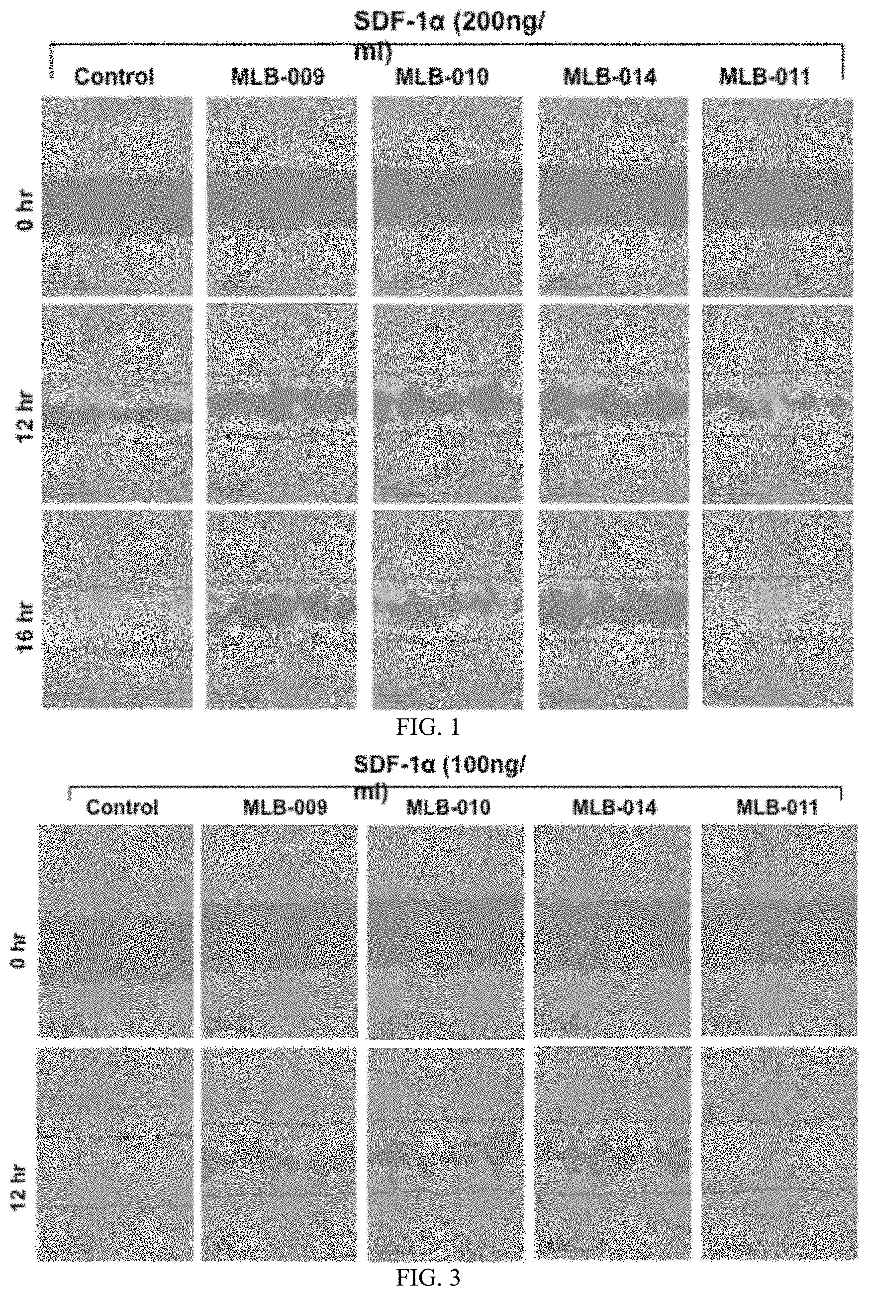 Patent US11771736 Figure 1 – Composition comprising a therapeutic agent and a CXCR4 selective antagonist and methods for using the same