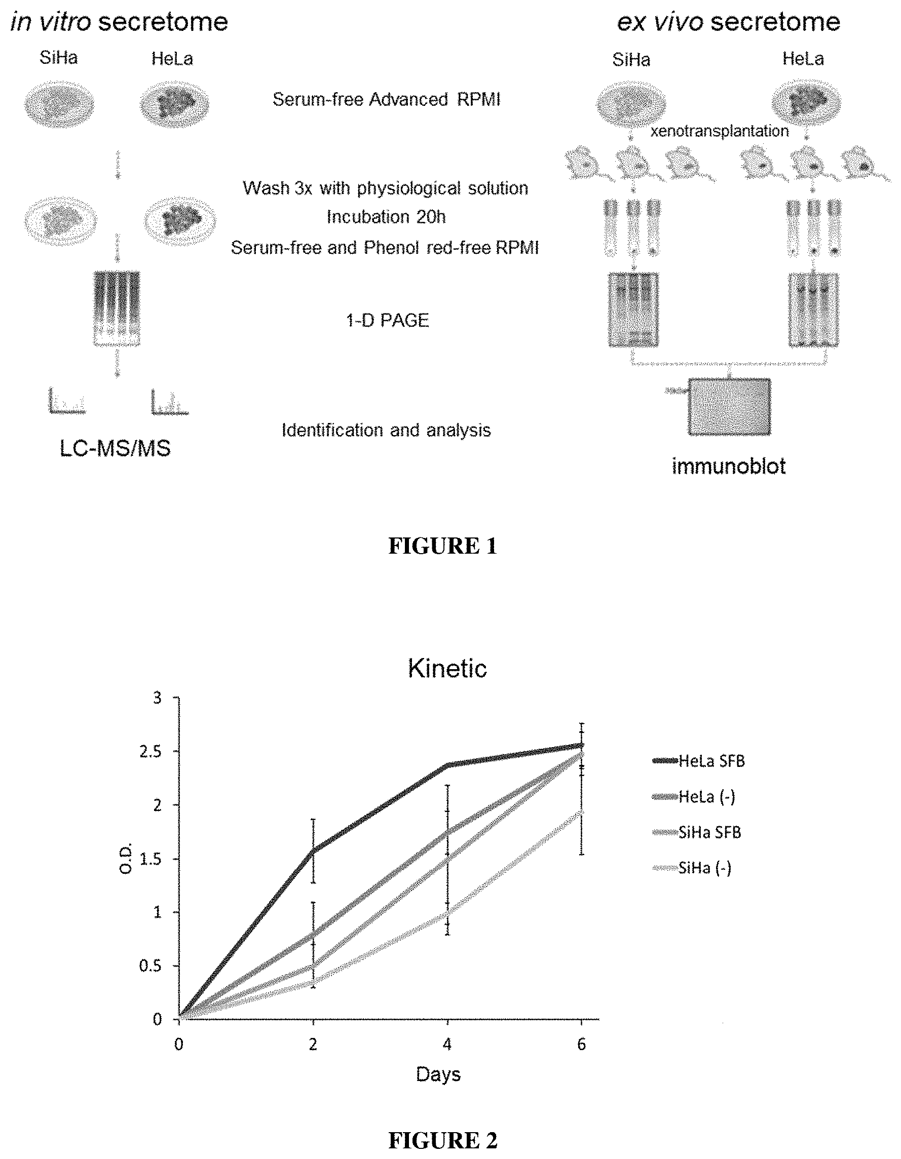 Patent US11771740 Figure 1 – Methods of diagnosing and treating cervical cancer