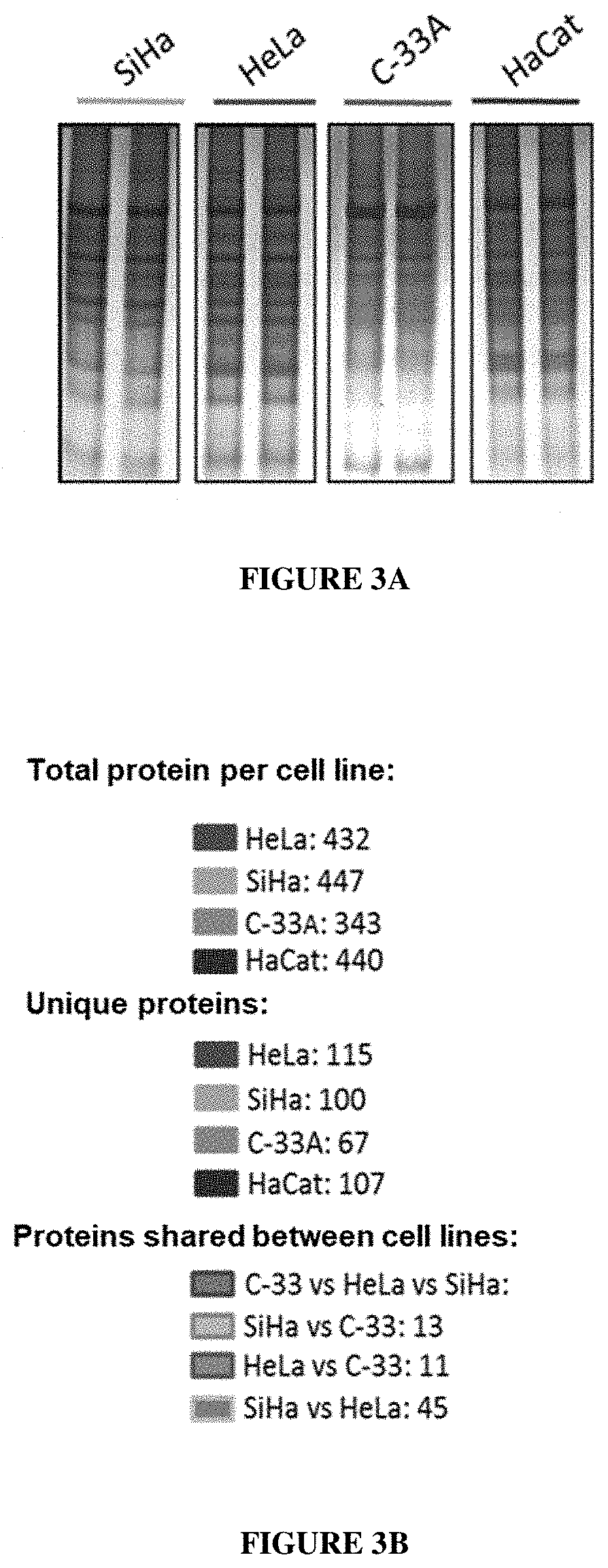 Patent US11771740 Figure 2 – Methods of diagnosing and treating cervical cancer