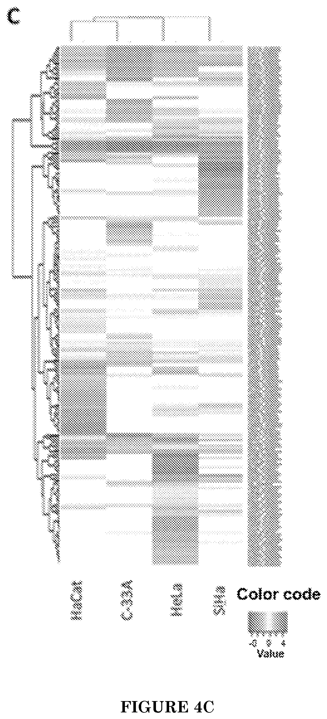 Patent US11771740 Figure 4 – Methods of diagnosing and treating cervical cancer