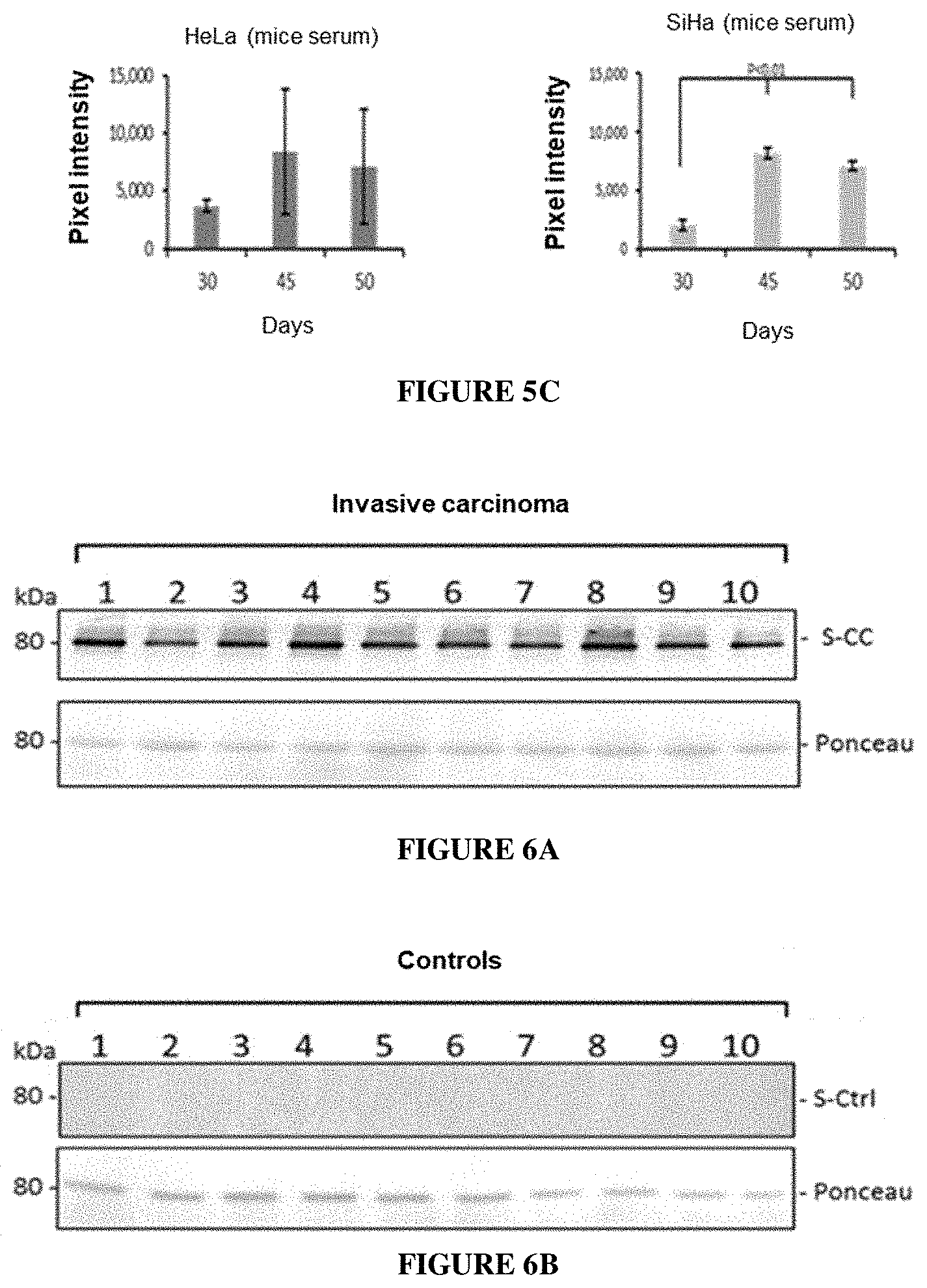 Patent US11771740 Figure 6 – Methods of diagnosing and treating cervical cancer