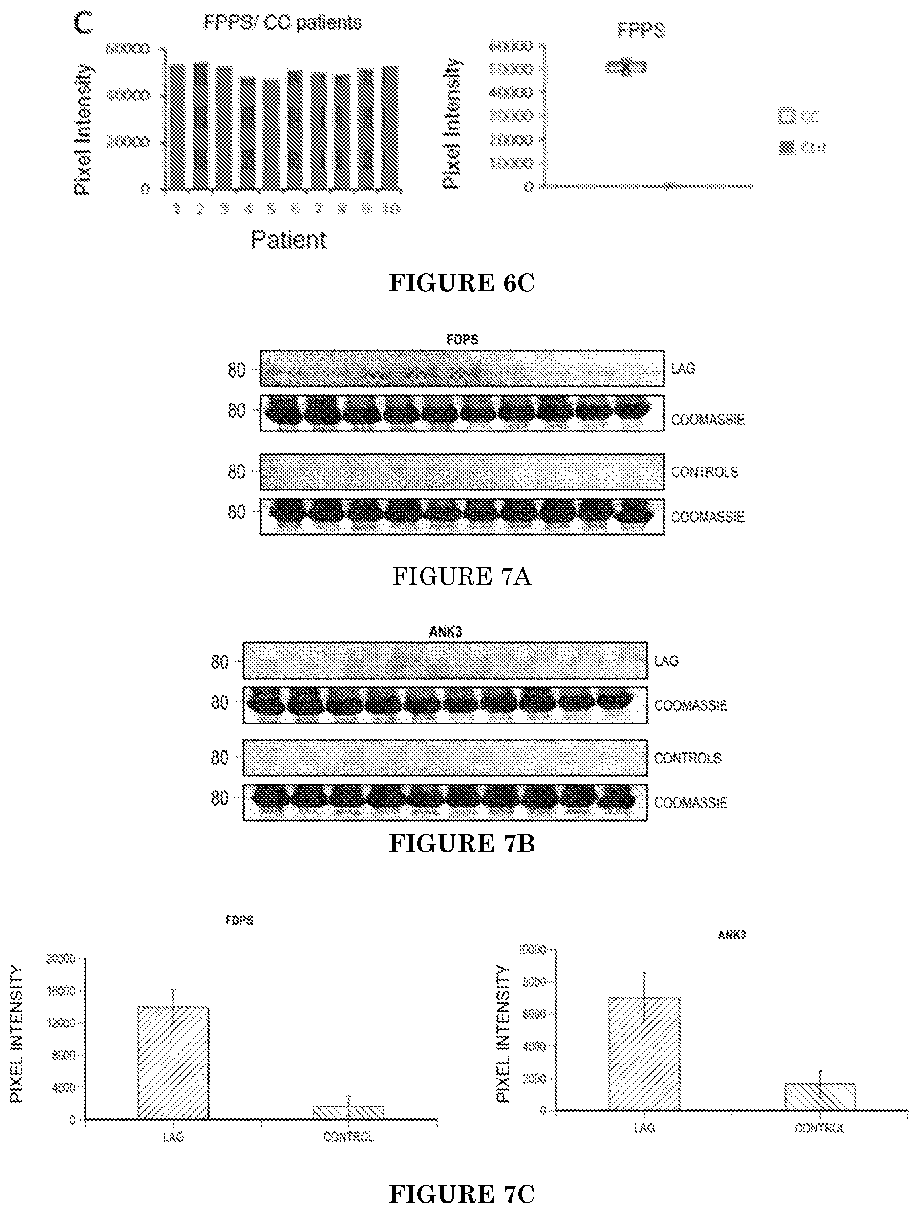 Patent US11771740 Figure 7 – Methods of diagnosing and treating cervical cancer