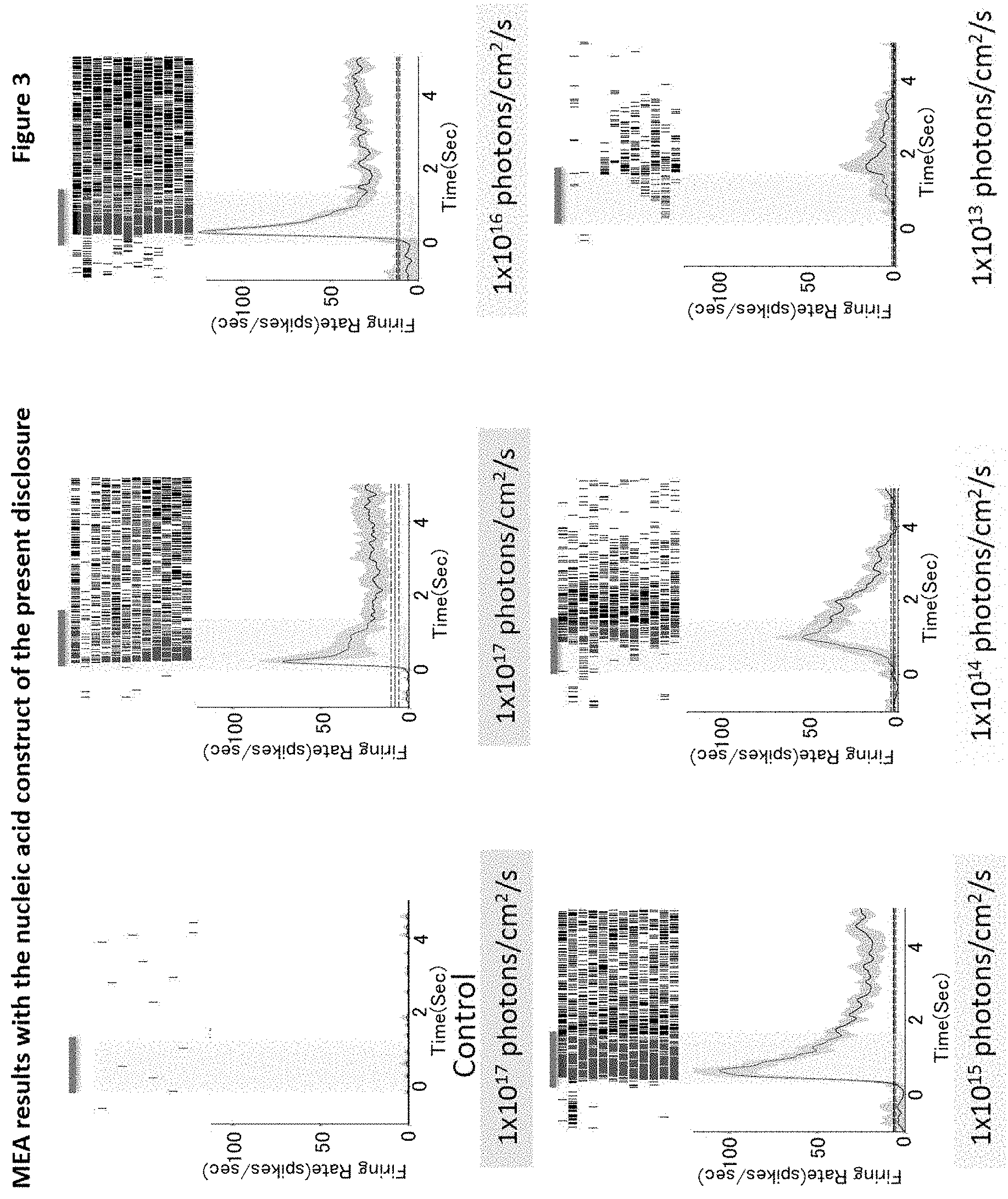 Patent US11771741 Figure 3 – Nucleic acid construct that encodes chimeric rhodopsin