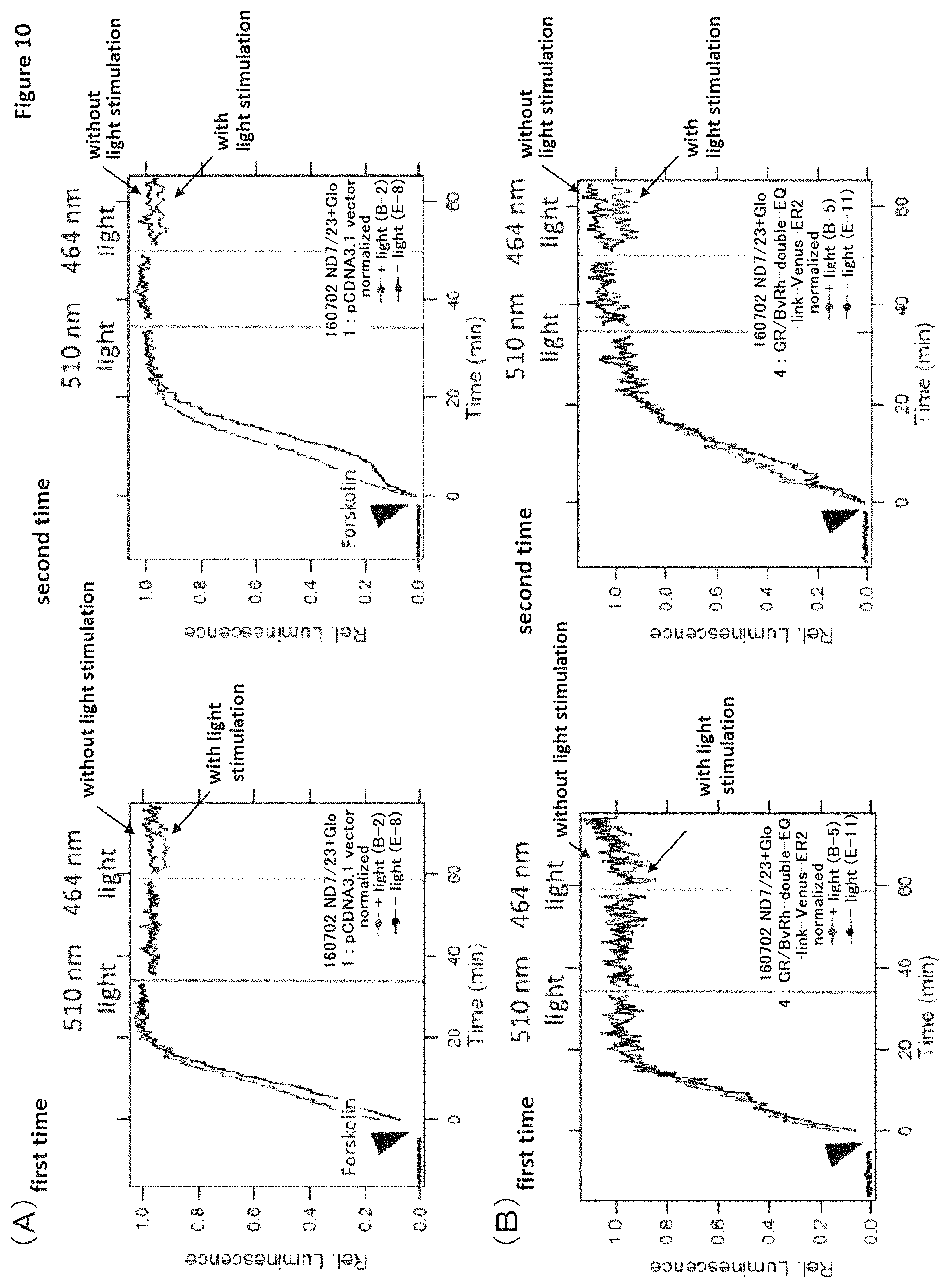 Patent US11771741 Figure 10 – Nucleic acid construct that encodes chimeric rhodopsin