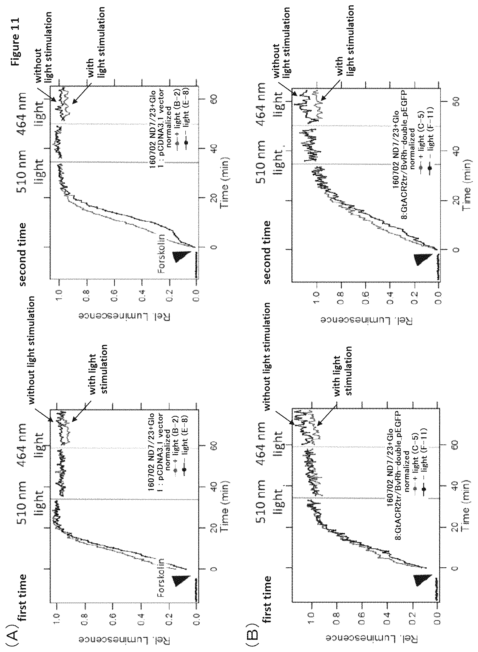 Patent US11771741 Figure 11 – Nucleic acid construct that encodes chimeric rhodopsin