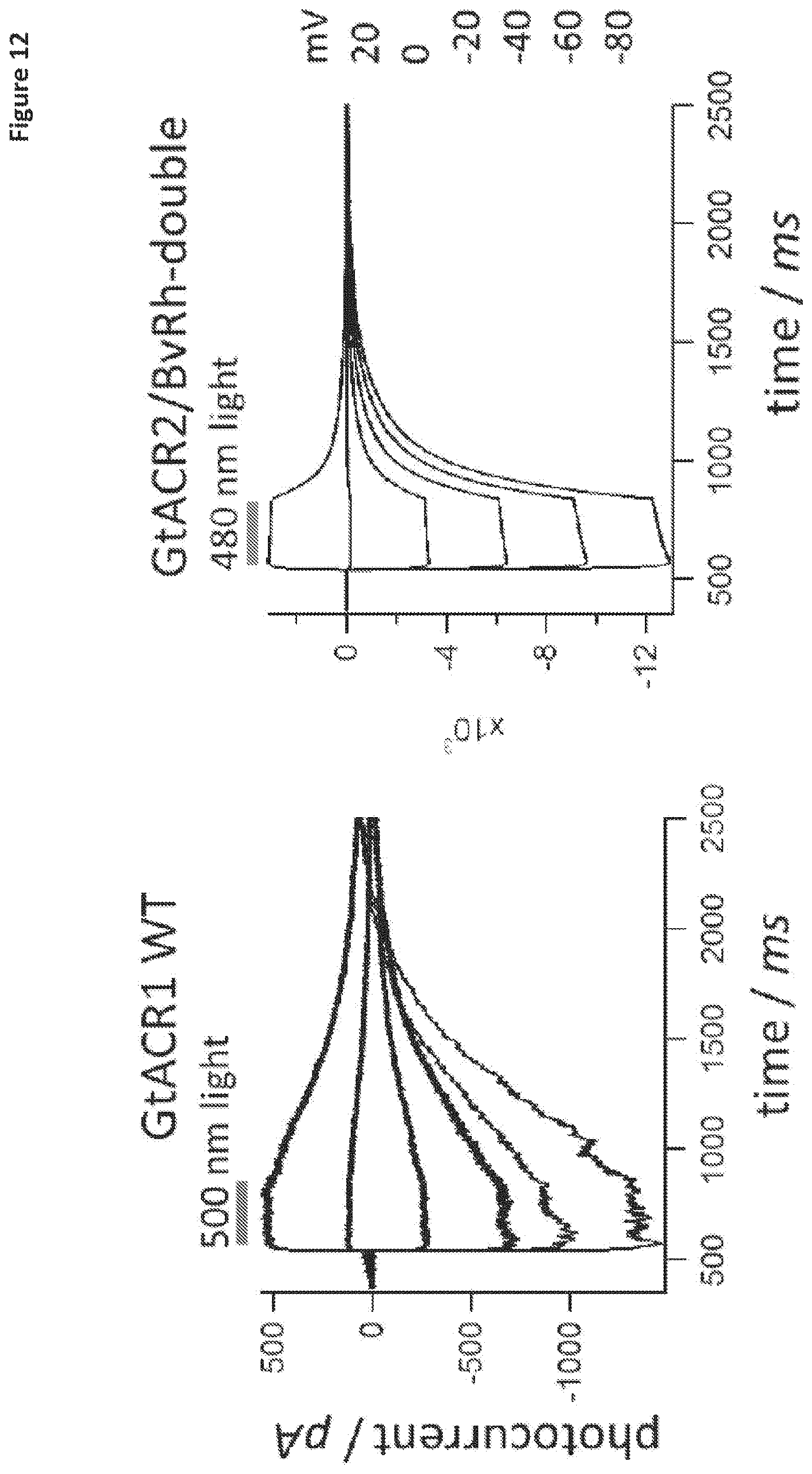 Patent US11771741 Figure 12 – Nucleic acid construct that encodes chimeric rhodopsin