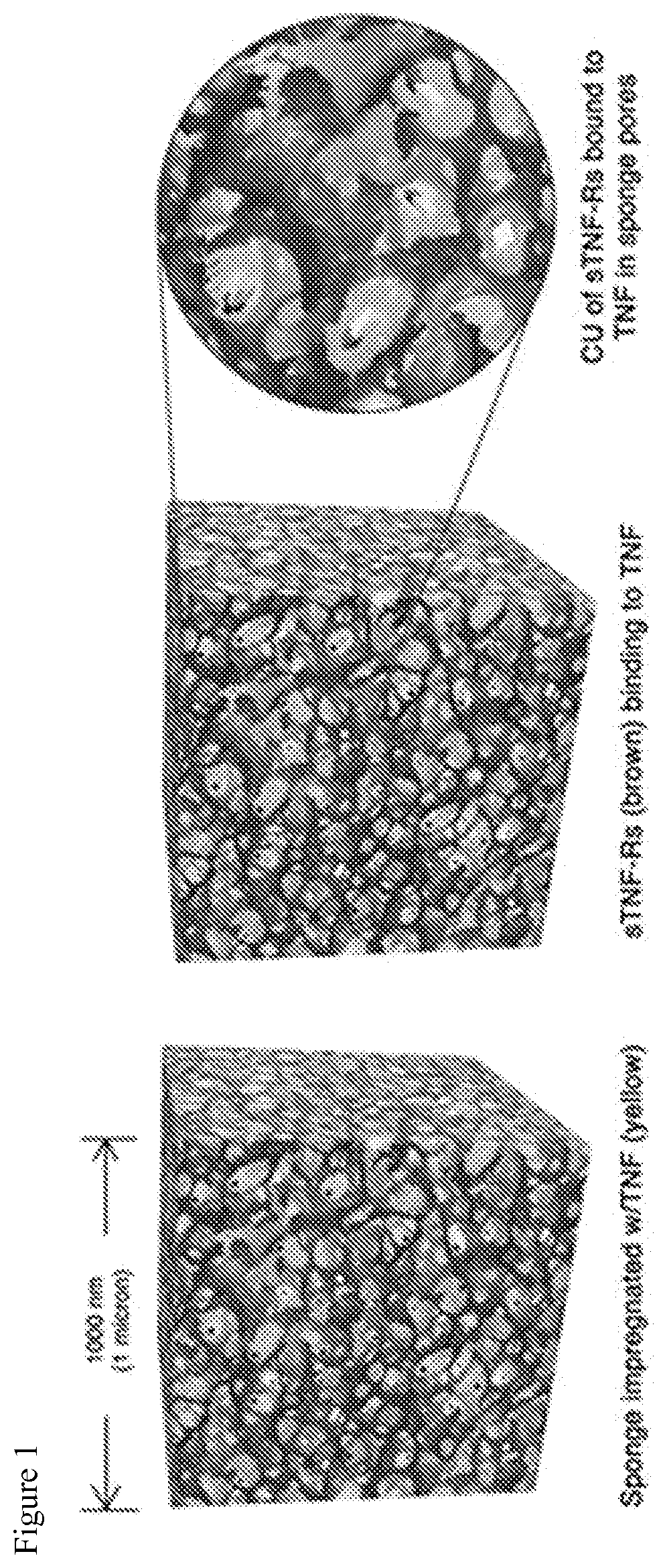 Patent US11771744 Figure 1 – Compositions and methods for inhibiting the biological activity of soluble biomolecules