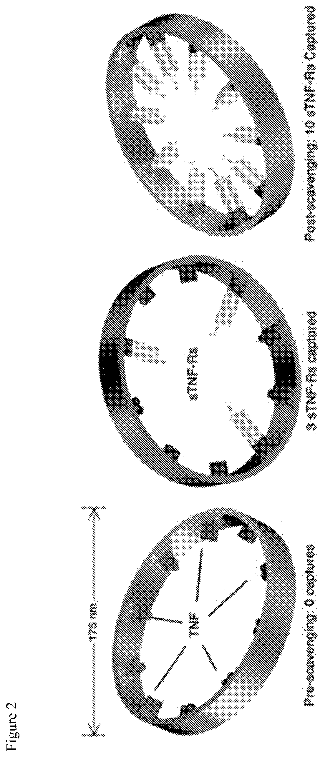 Patent US11771744 Figure 2 – Compositions and methods for inhibiting the biological activity of soluble biomolecules