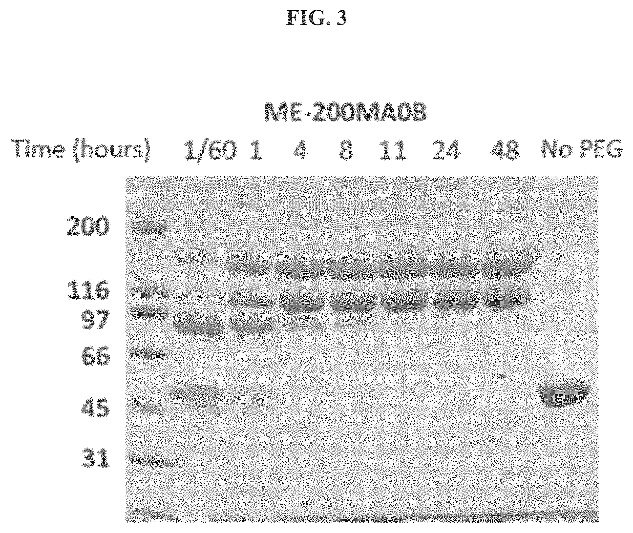 Patent US11771745 Figure 3 – Compositions and methods for treatment of homocystinuria