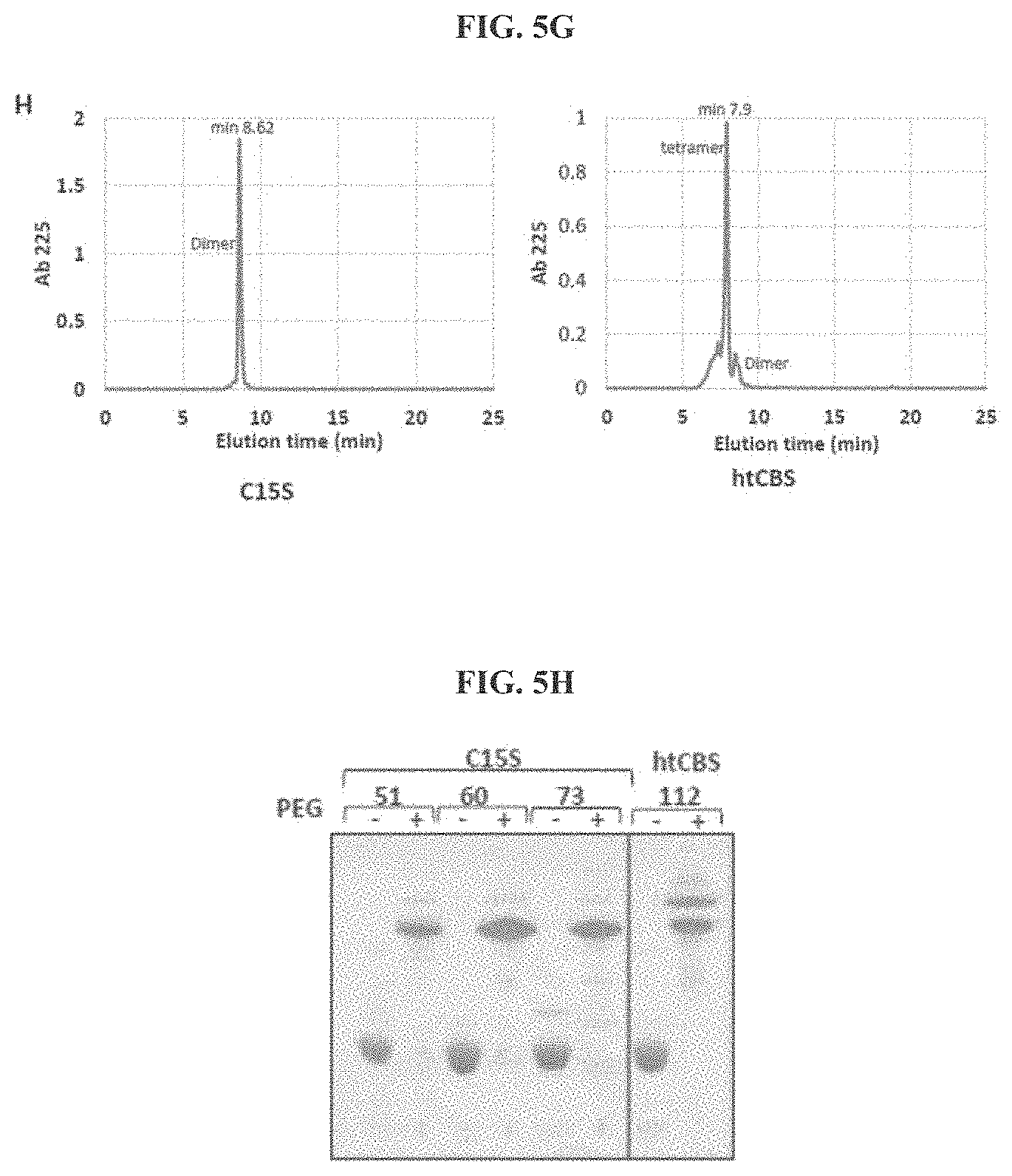 Patent US11771745 Figure 9 – Compositions and methods for treatment of homocystinuria