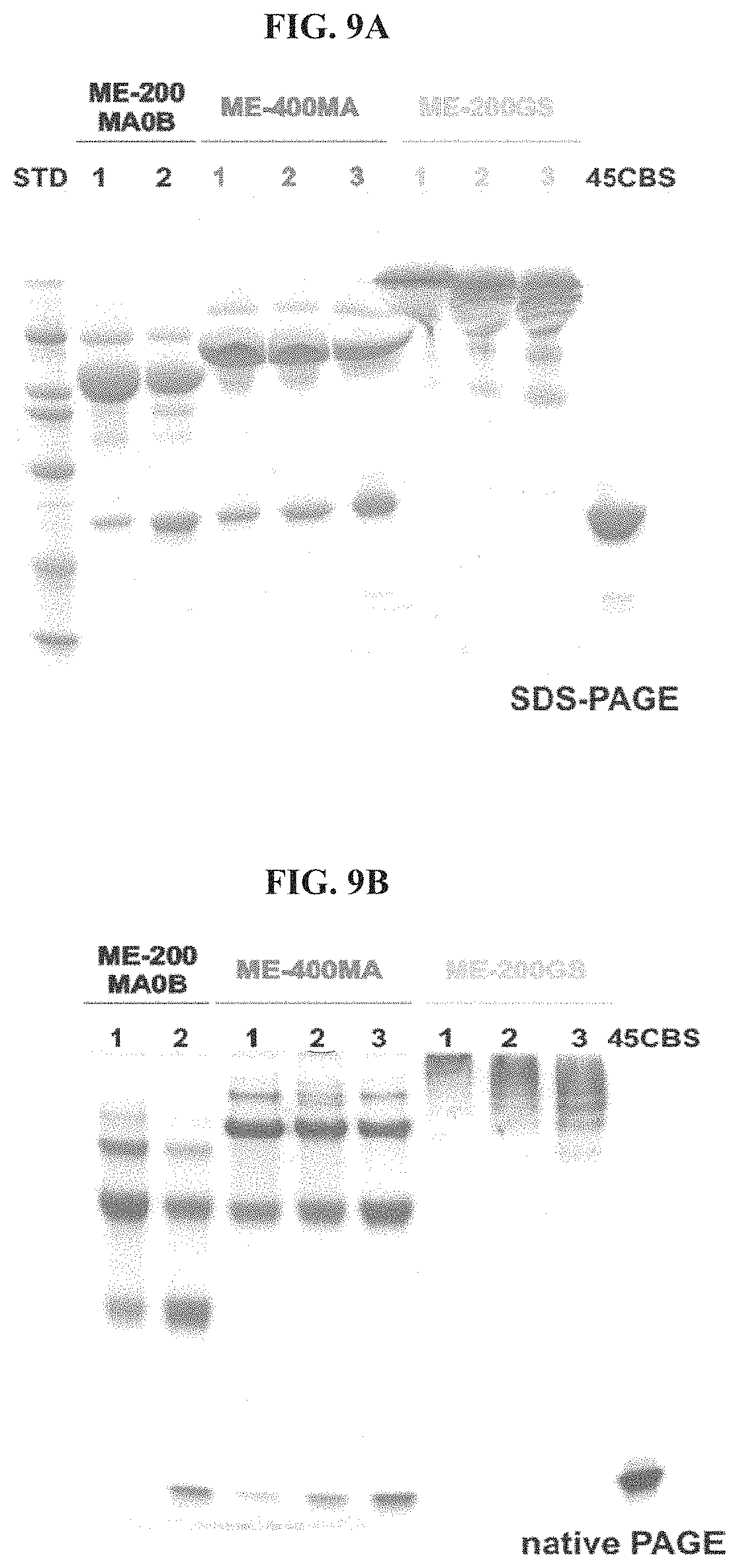 Patent US11771745 Figure 14 – Compositions and methods for treatment of homocystinuria