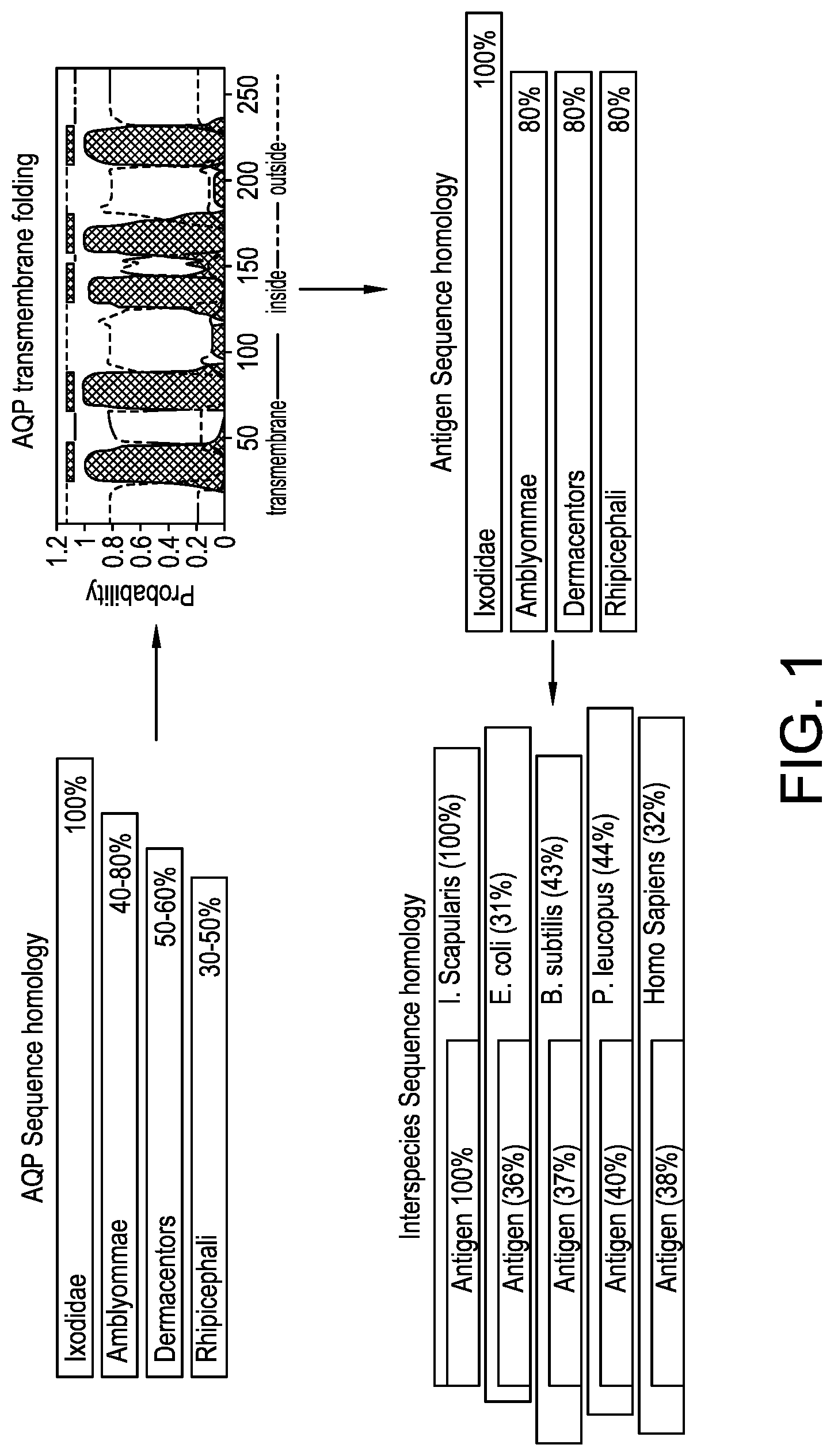 Patent US11771746 Figure 1 – Method to reduce tick population with a universal tick antigen