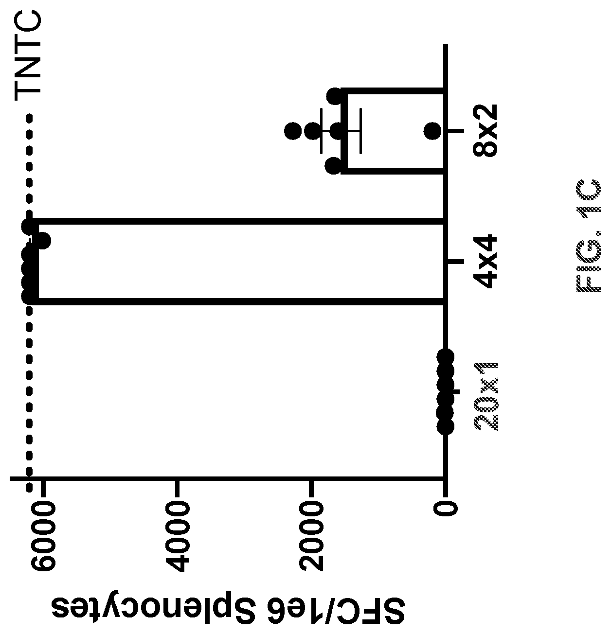 Patent US11771747 Figure 3 – Multiepitope vaccine cassettes