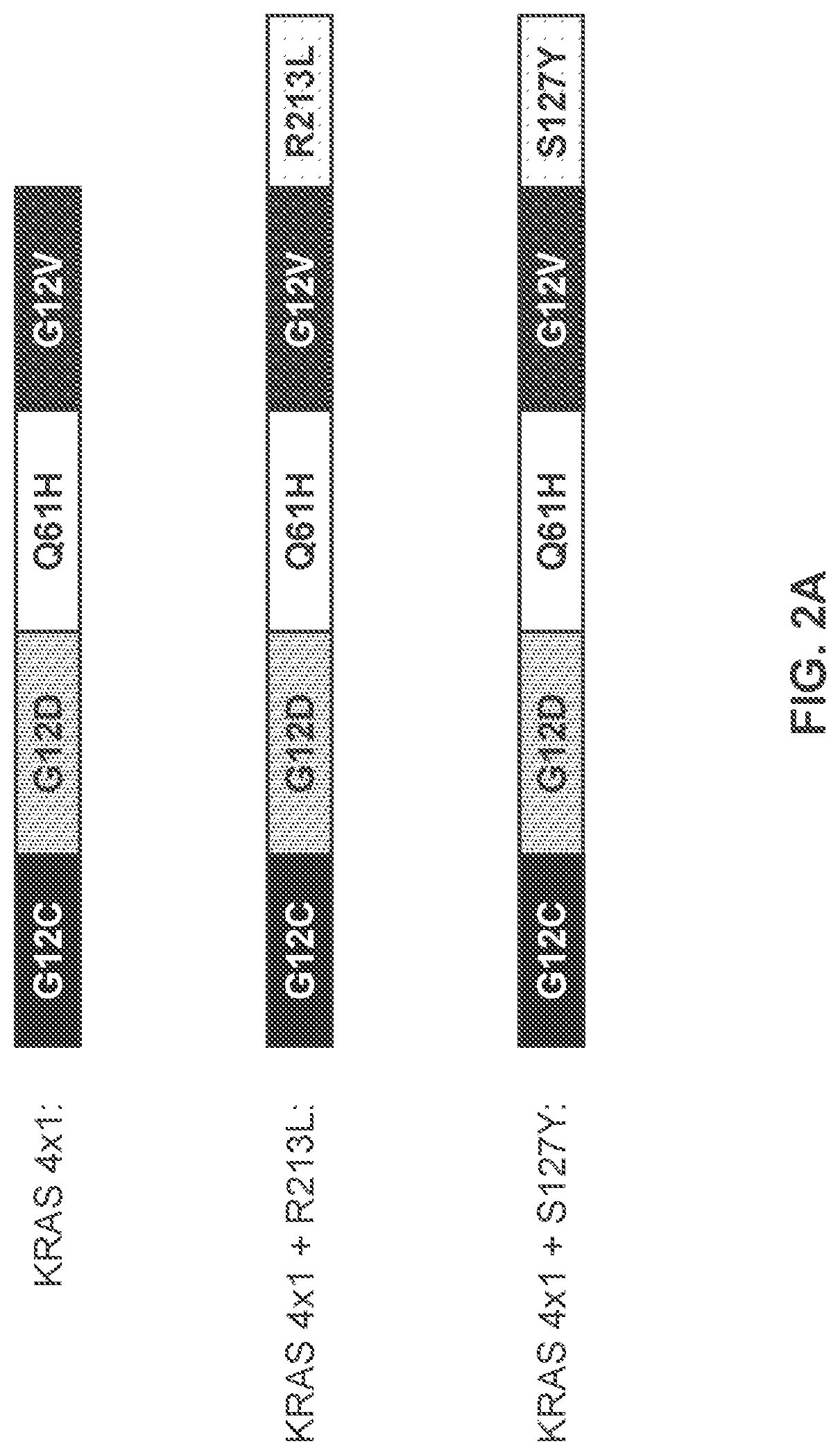 Patent US11771747 Figure 5 – Multiepitope vaccine cassettes