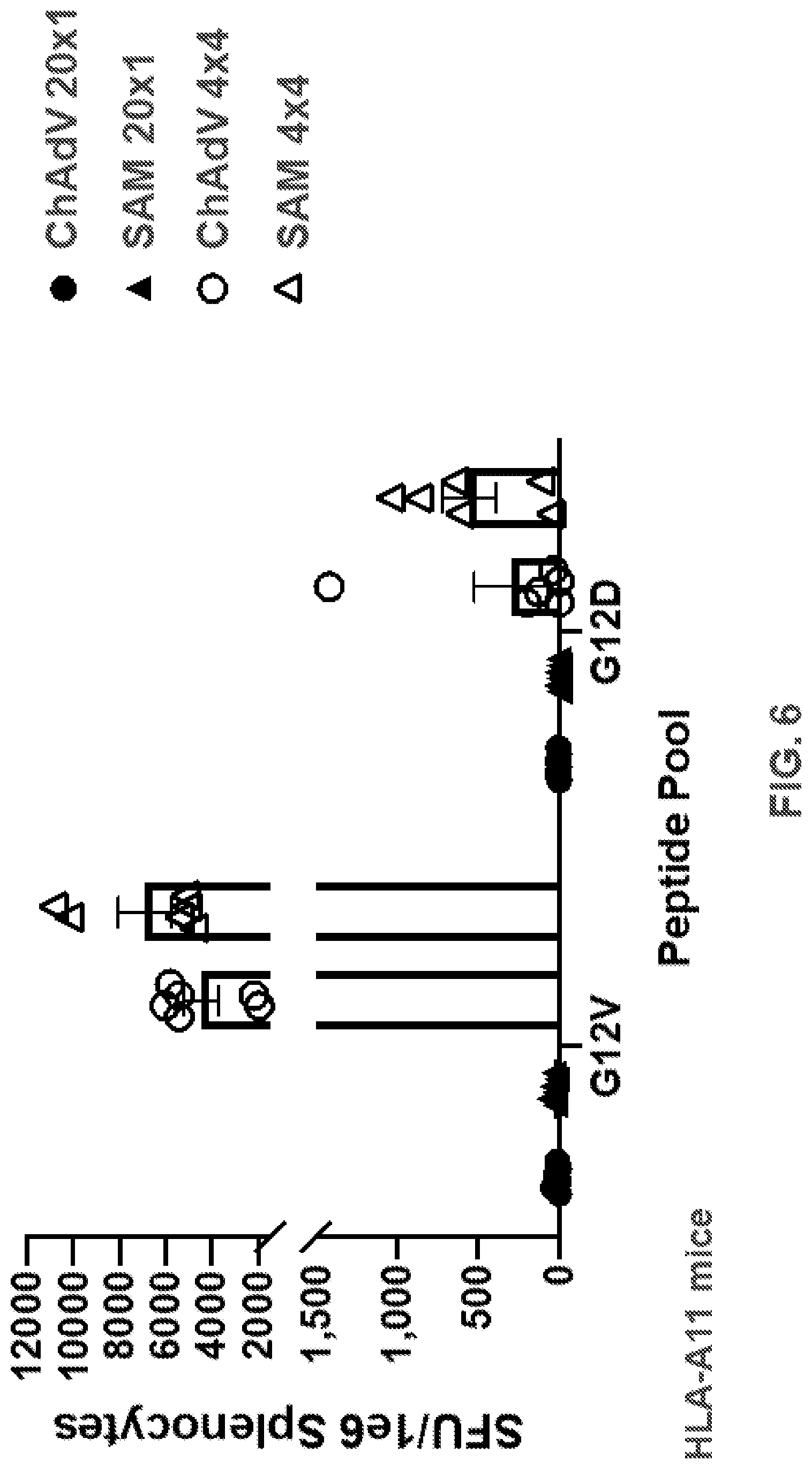 Patent US11771747 Figure 13 – Multiepitope vaccine cassettes