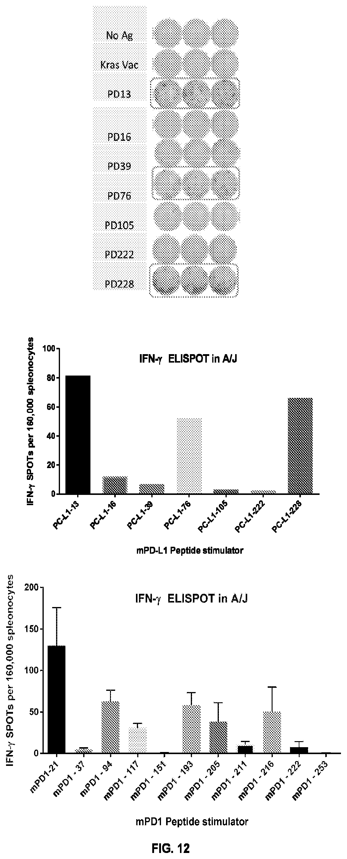 Patent US11771749 Figure 14 – KRAS peptide vaccine compositions and method of use
