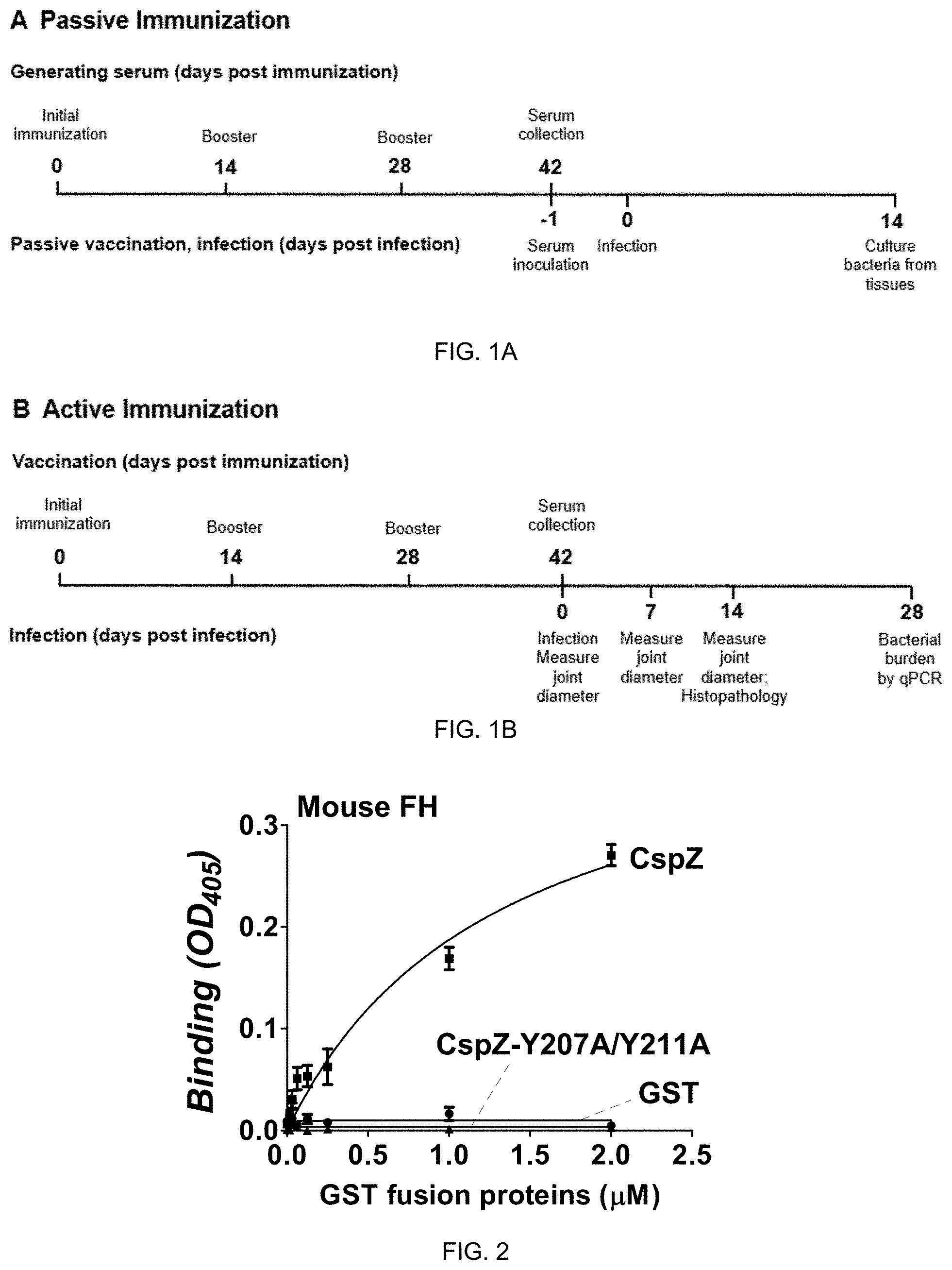 Patent US11771750 — Composition and method for generating immunity to Borrelia burgdorferi — Figure 1
