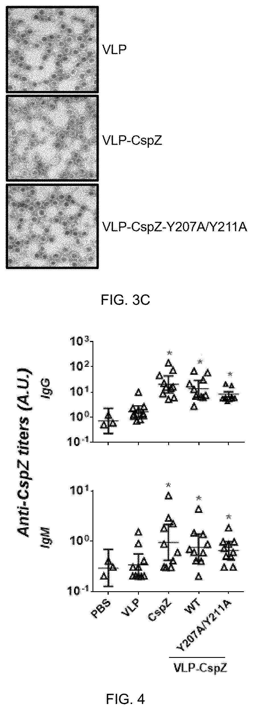 Patent US11771750 Figure 3 – Composition and method for generating immunity to Borrelia burgdorferi