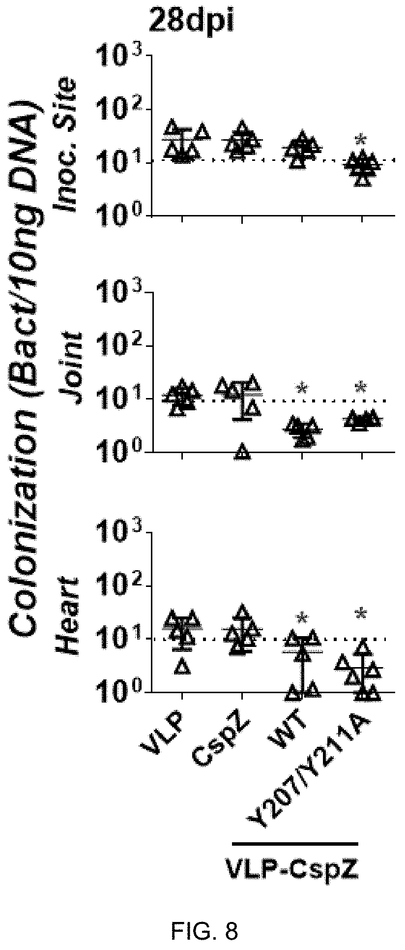 Patent US11771750 Figure 7 – Composition and method for generating immunity to Borrelia burgdorferi