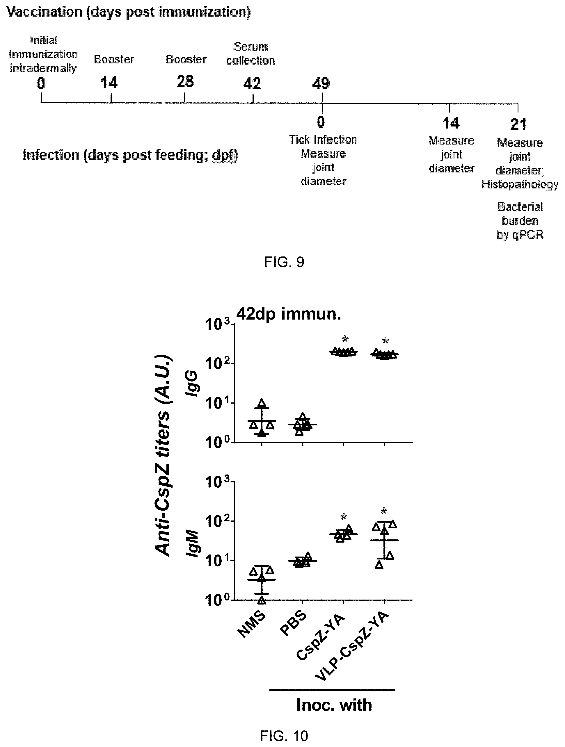 Patent US11771750 Figure 8 – Composition and method for generating immunity to Borrelia burgdorferi