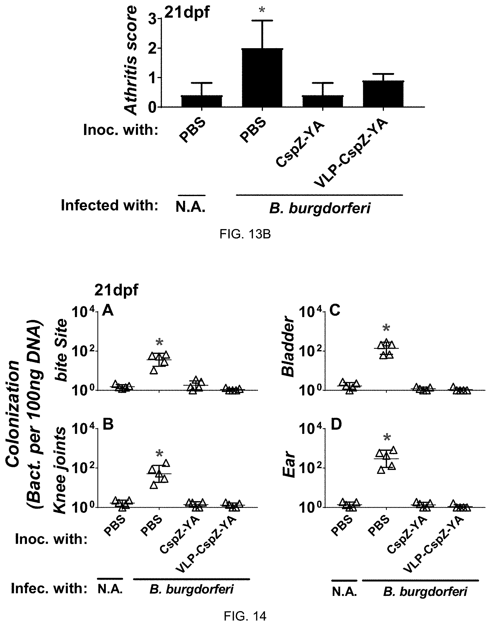 Patent US11771750 Figure 12 – Composition and method for generating immunity to Borrelia burgdorferi