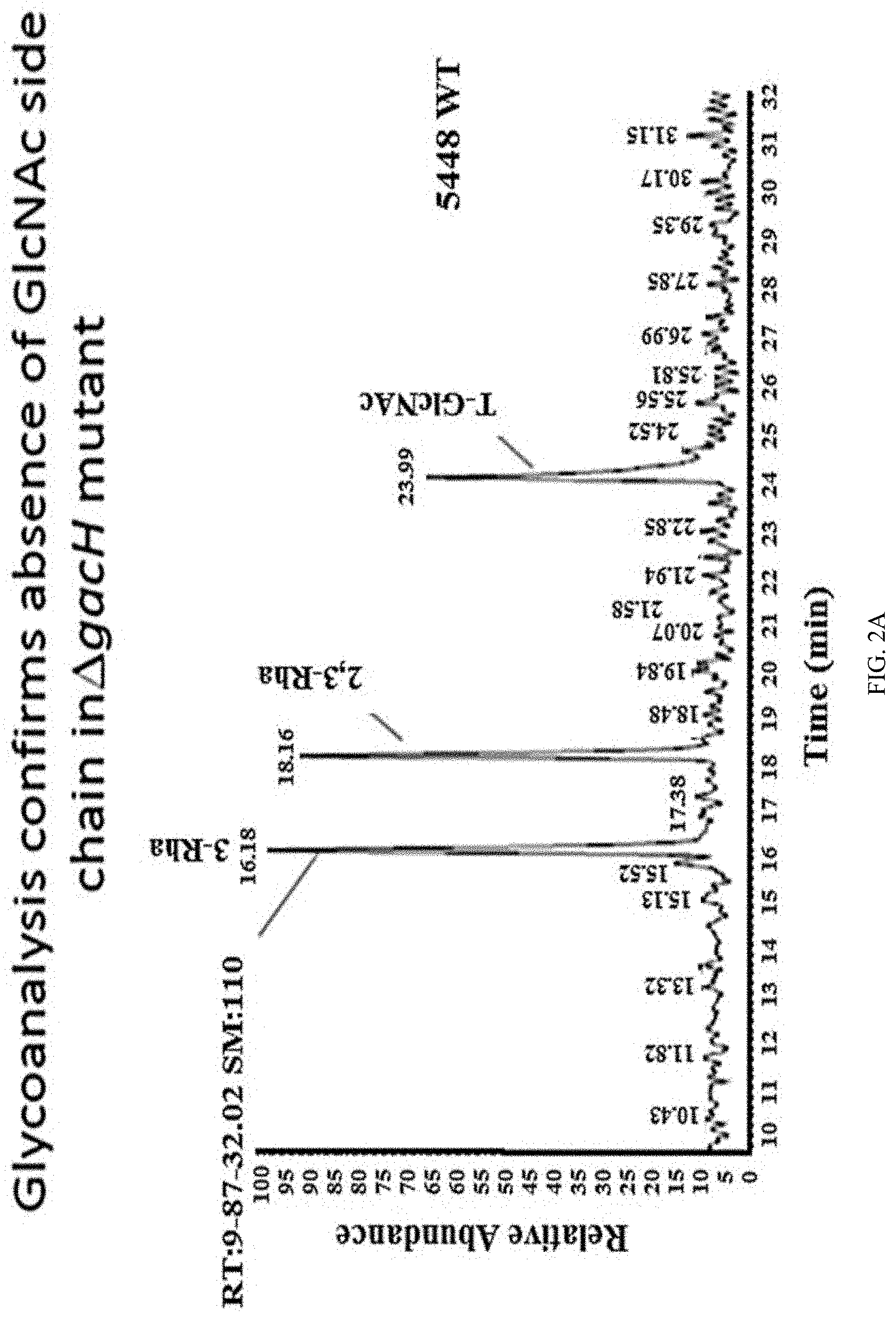 Patent US11771751 Figure 3 – Streptococcal GlcNAc-lacking glycopolypeptides, cell wall carbohydrates, streptococcus vaccines, and methods for making and using them