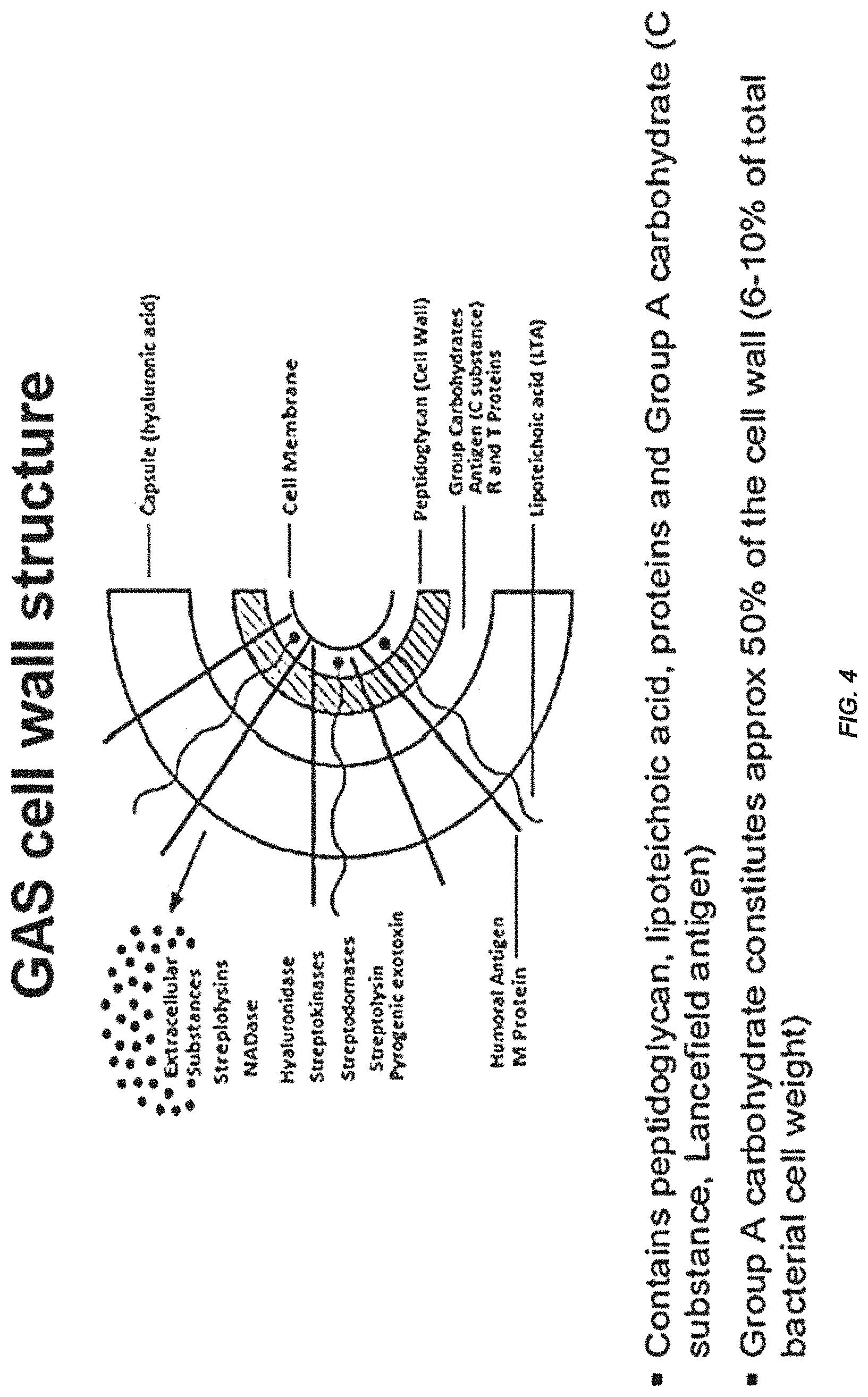 Patent US11771751 Figure 6 – Streptococcal GlcNAc-lacking glycopolypeptides, cell wall carbohydrates, streptococcus vaccines, and methods for making and using them