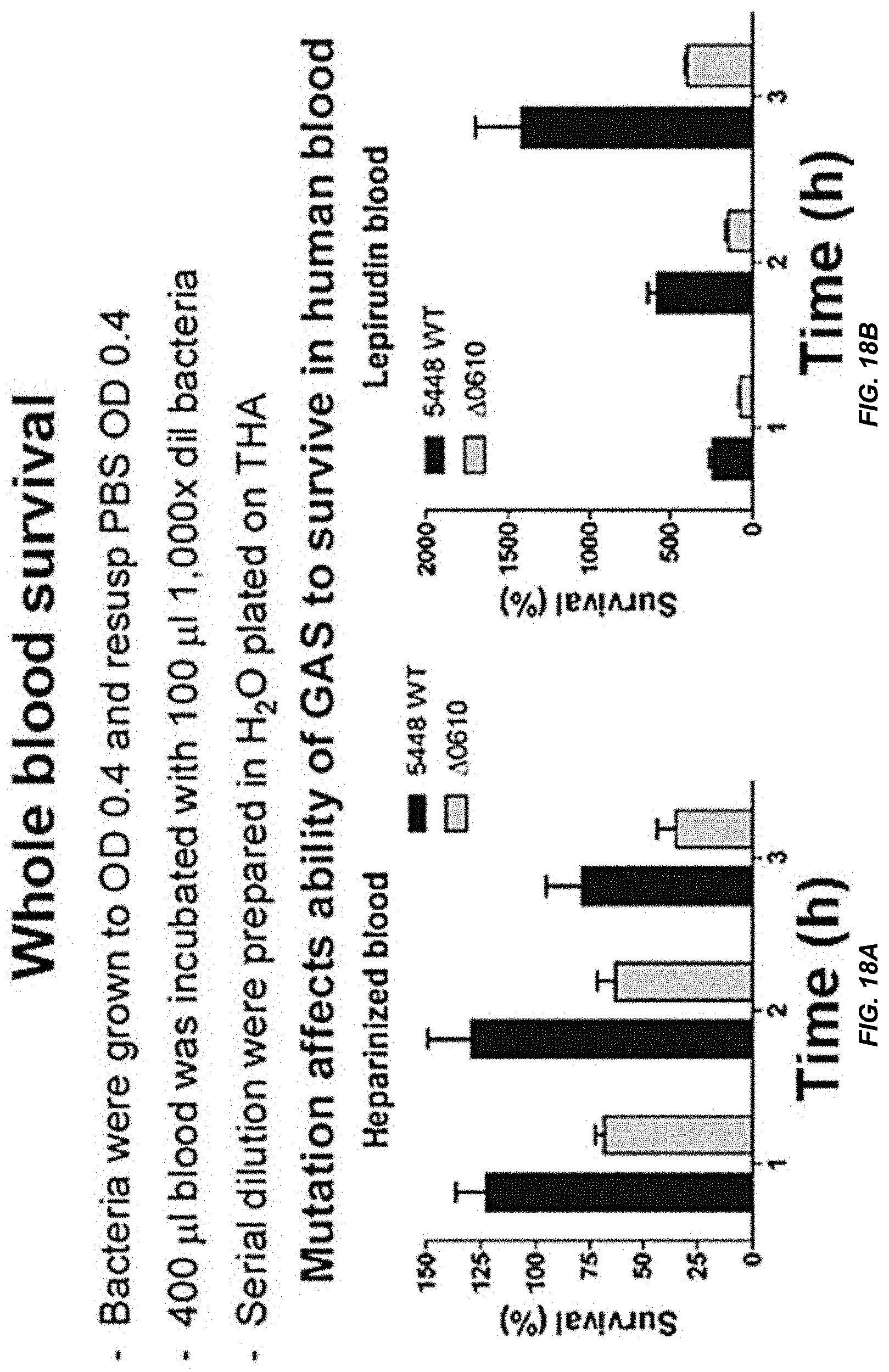 Patent US11771751 Figure 20 – Streptococcal GlcNAc-lacking glycopolypeptides, cell wall carbohydrates, streptococcus vaccines, and methods for making and using them