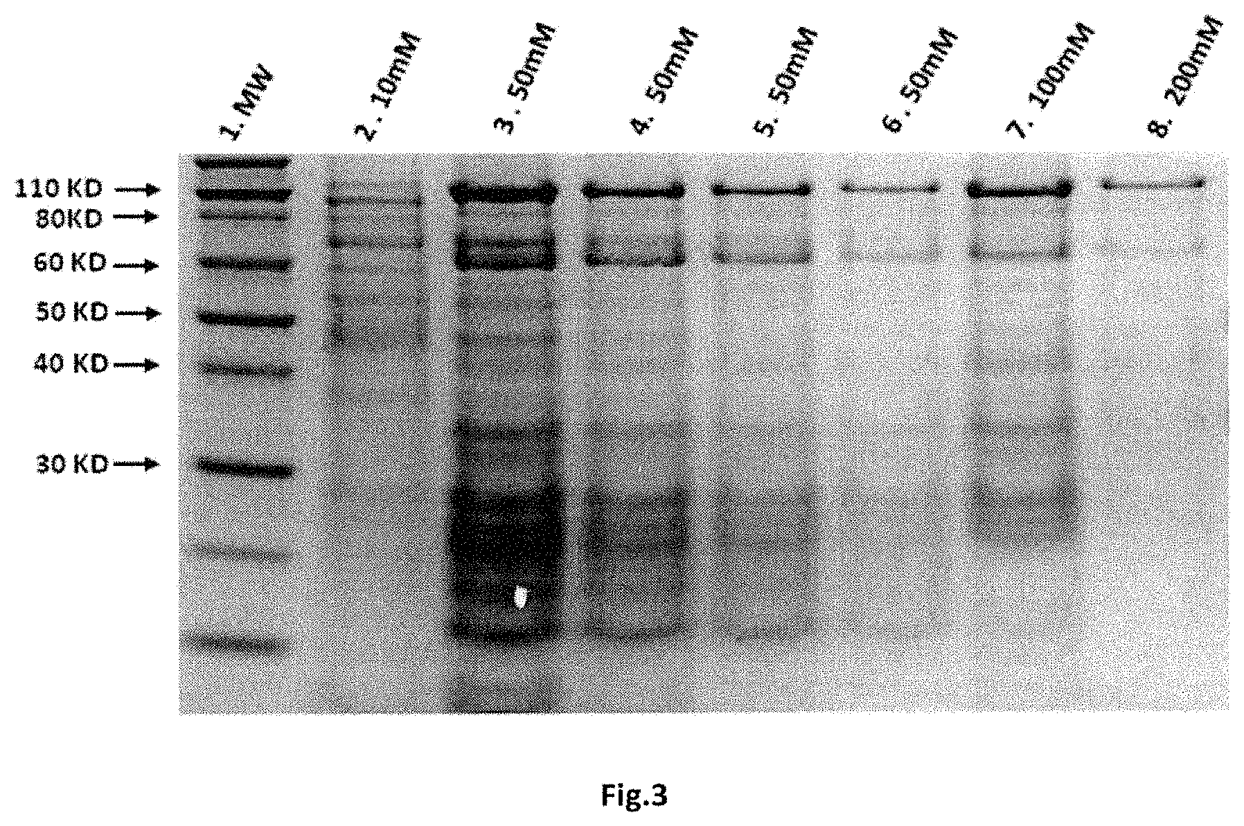 Patent US11771752 Figure 2 – Composition for oral or nasal delivery of tetanus, diphtheria, and pertussis vaccine alone or in combination using neurotoxin associated proteins