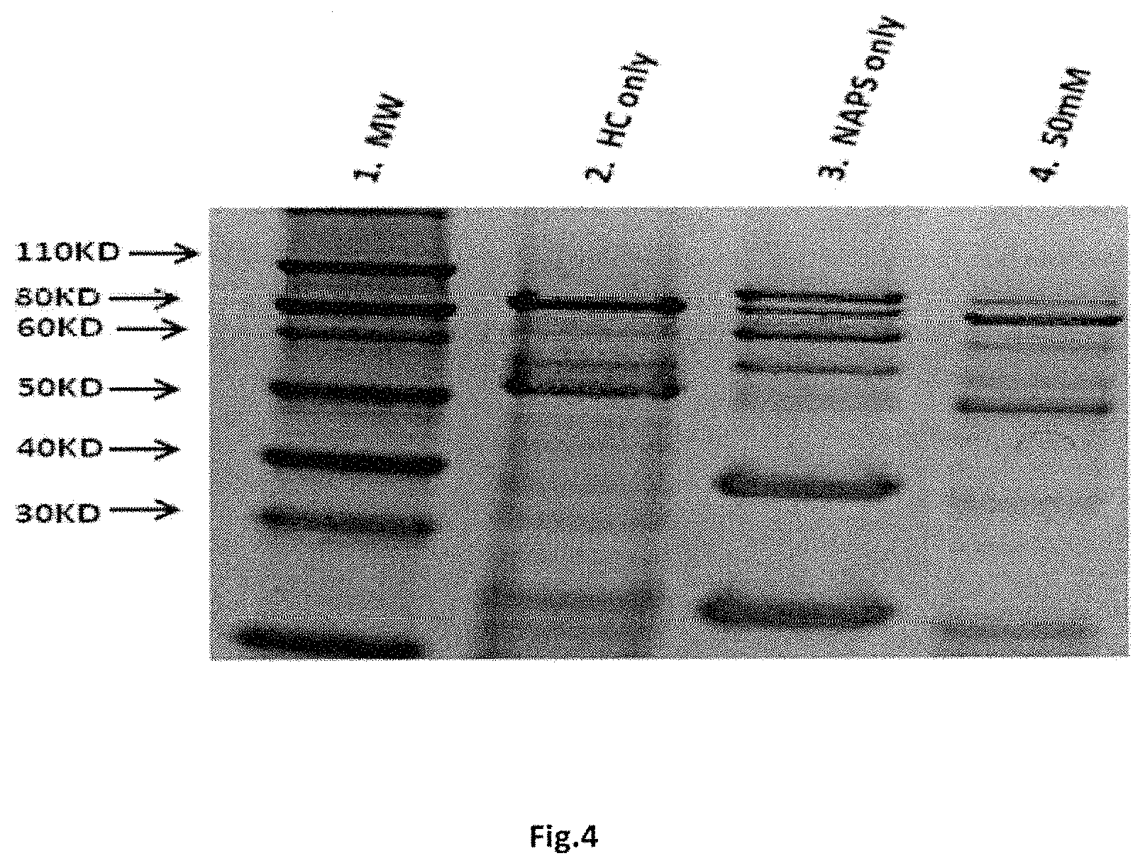 Patent US11771752 Figure 3 – Composition for oral or nasal delivery of tetanus, diphtheria, and pertussis vaccine alone or in combination using neurotoxin associated proteins