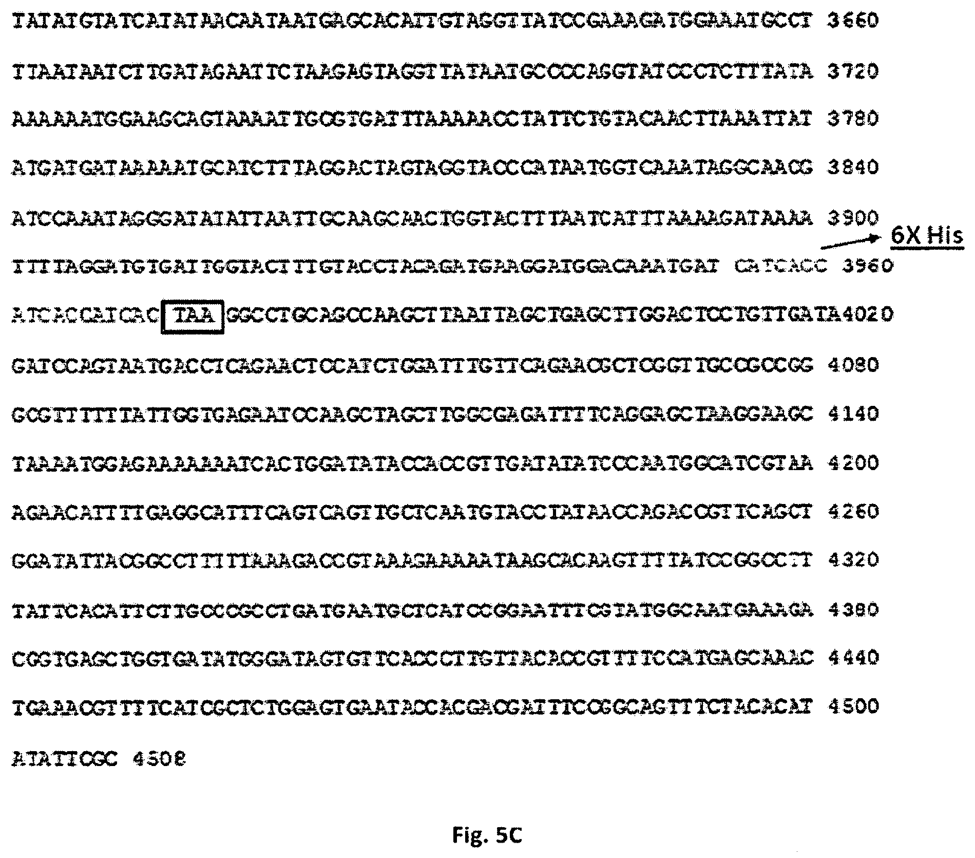 Patent US11771752 Figure 6 – Composition for oral or nasal delivery of tetanus, diphtheria, and pertussis vaccine alone or in combination using neurotoxin associated proteins