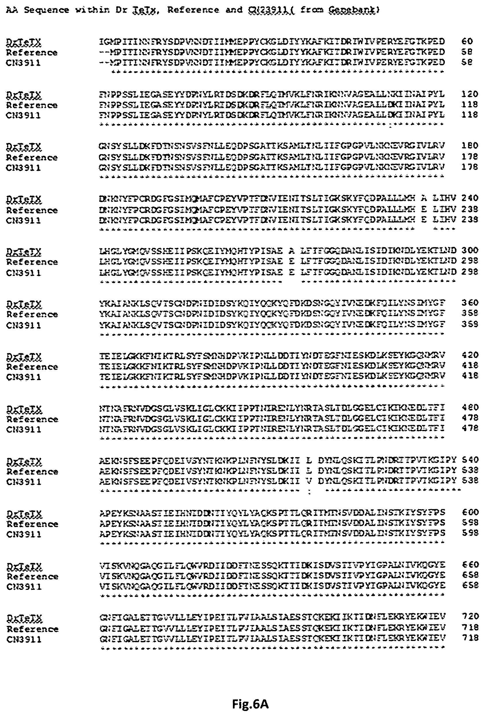 Patent US11771752 Figure 7 – Composition for oral or nasal delivery of tetanus, diphtheria, and pertussis vaccine alone or in combination using neurotoxin associated proteins