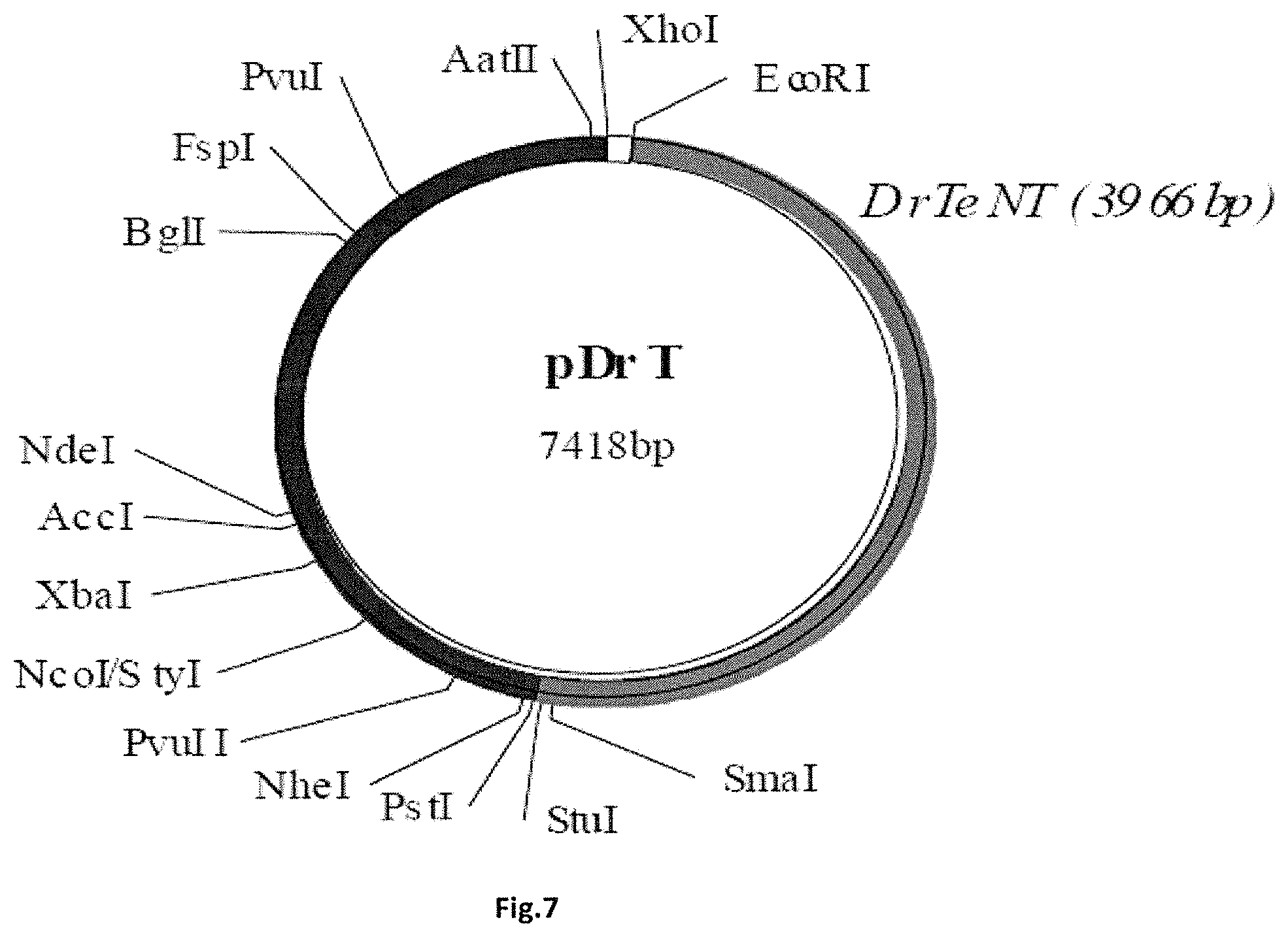 Patent US11771752 Figure 9 – Composition for oral or nasal delivery of tetanus, diphtheria, and pertussis vaccine alone or in combination using neurotoxin associated proteins