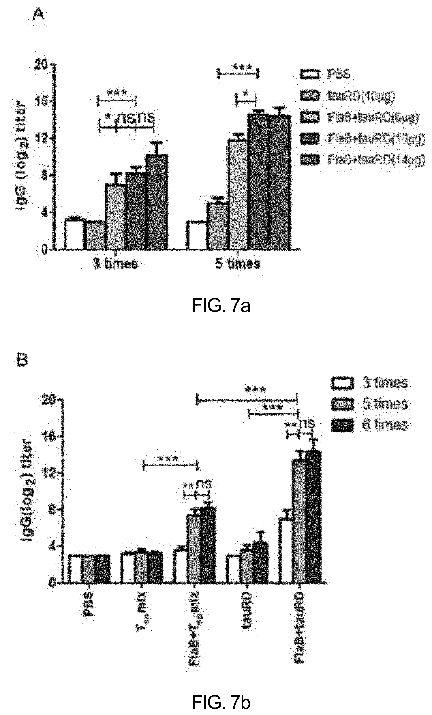 Patent US11771753 Figure 6 – Preparation of flagellin vaccine adjuvant-based vaccine to induce production of antibody recognizing conformation of antigens, and application thereof