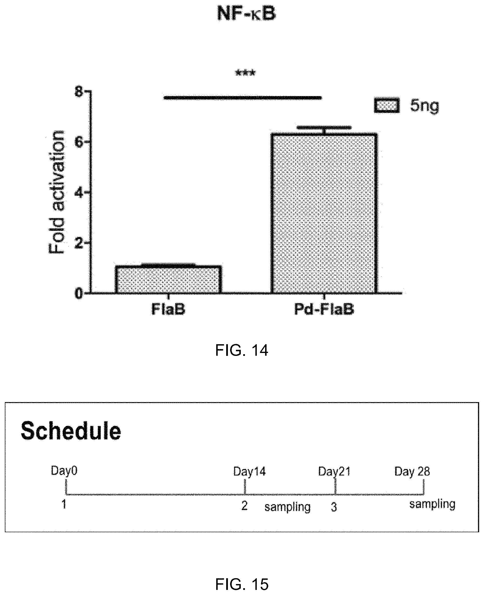 Patent US11771753 Figure 13 – Preparation of flagellin vaccine adjuvant-based vaccine to induce production of antibody recognizing conformation of antigens, and application thereof