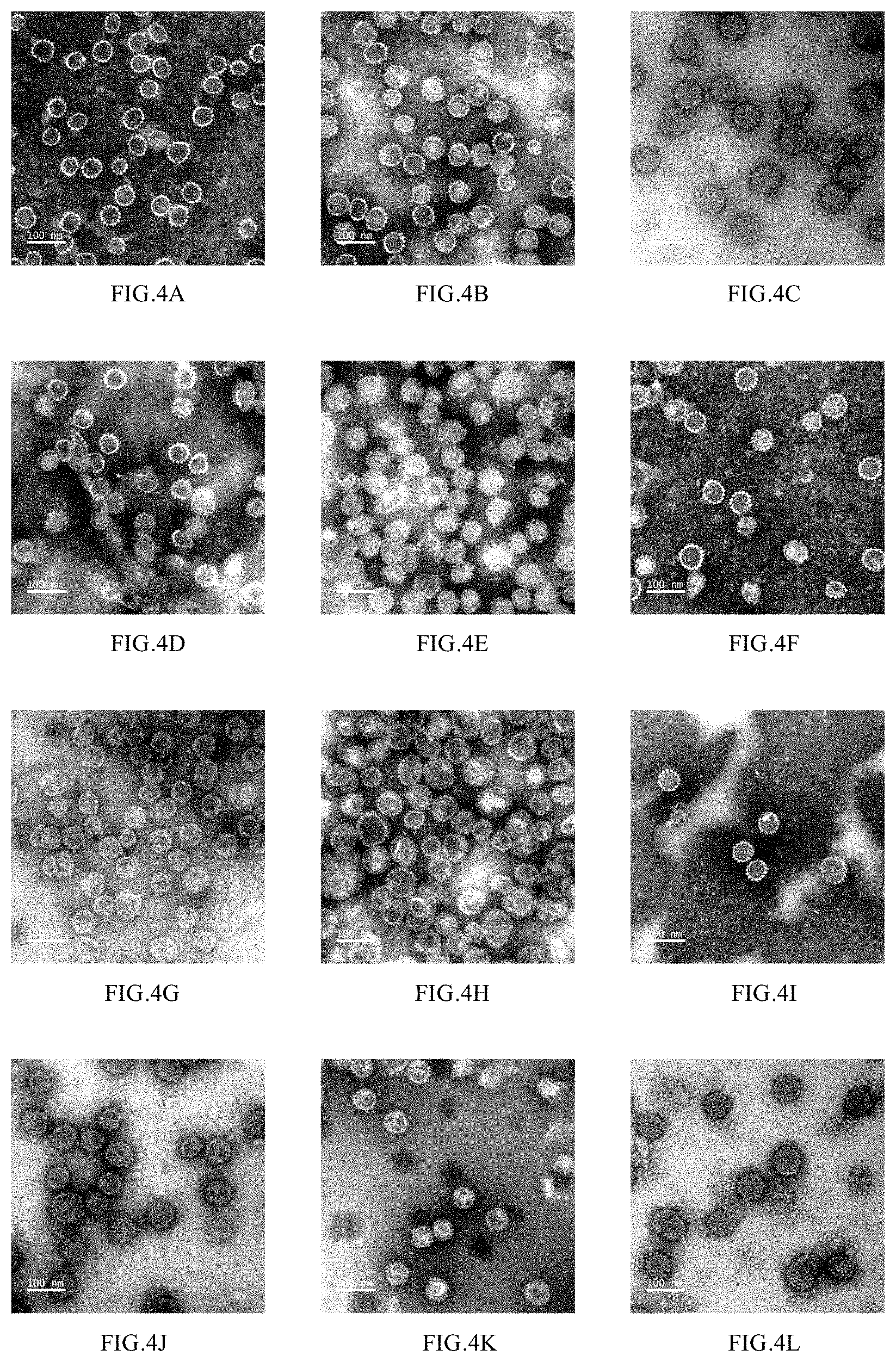 Patent US11771754 Figure 5 – Mutant of L1 protein of human papillomavirus type 18